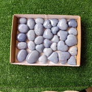 32 pc blue angelite palms & hearts