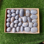 31 pc angelite palms & eggs