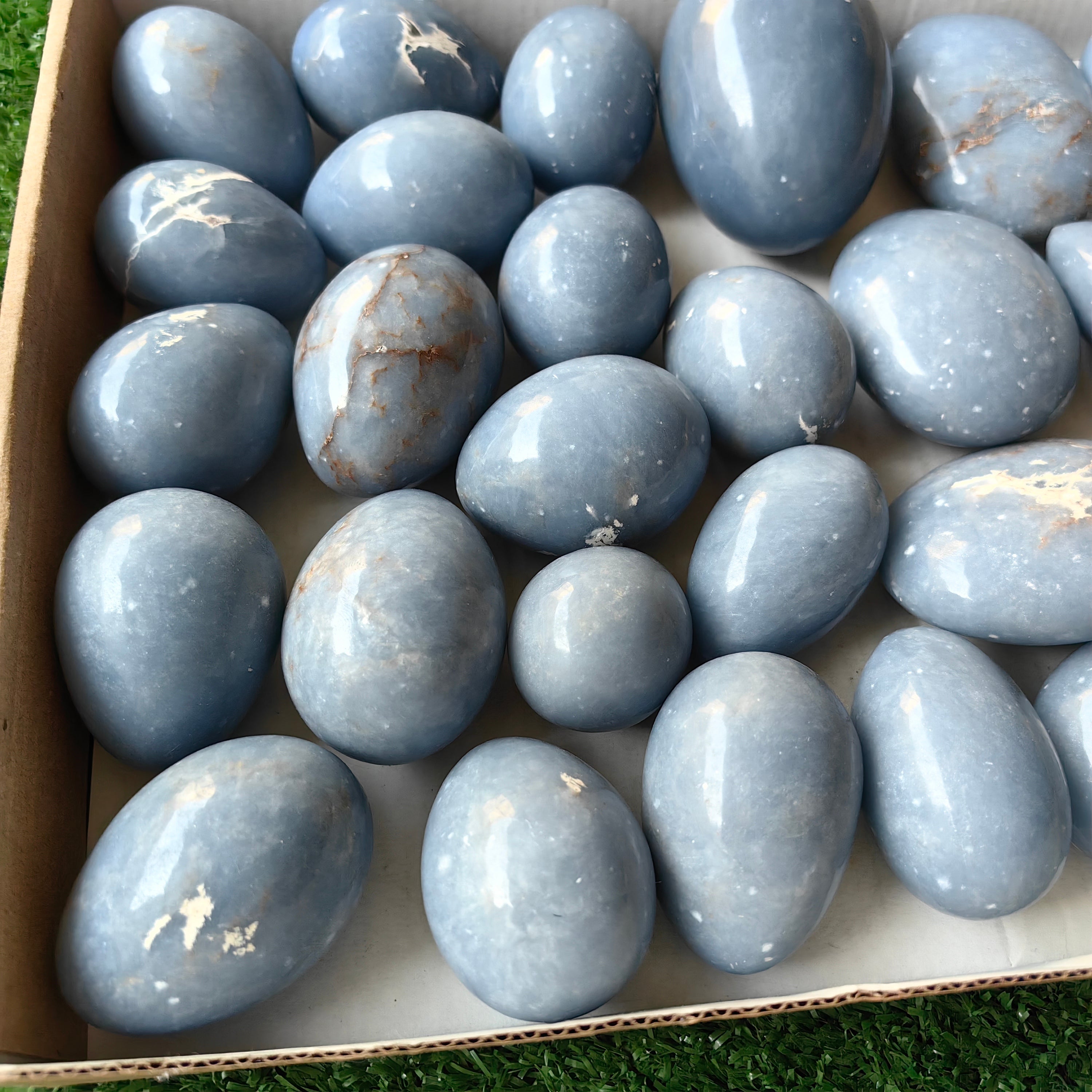 31 pc angelite palms & eggs