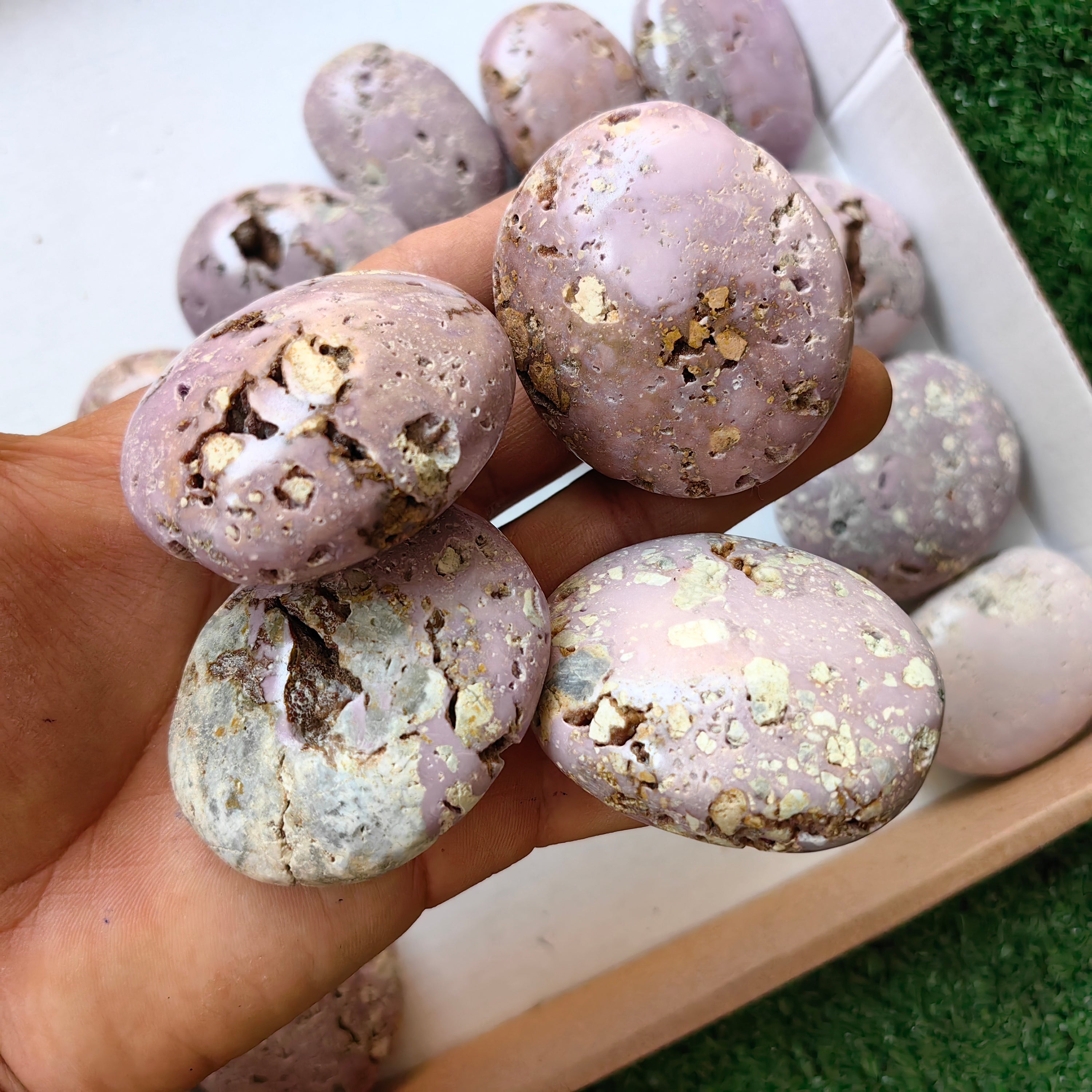 26 pc phosphosiderite drusy palms