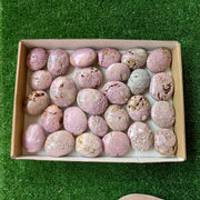 27 pc phosphosiderite drusy palms