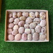 32 pc phosphosiderite drusy palms
