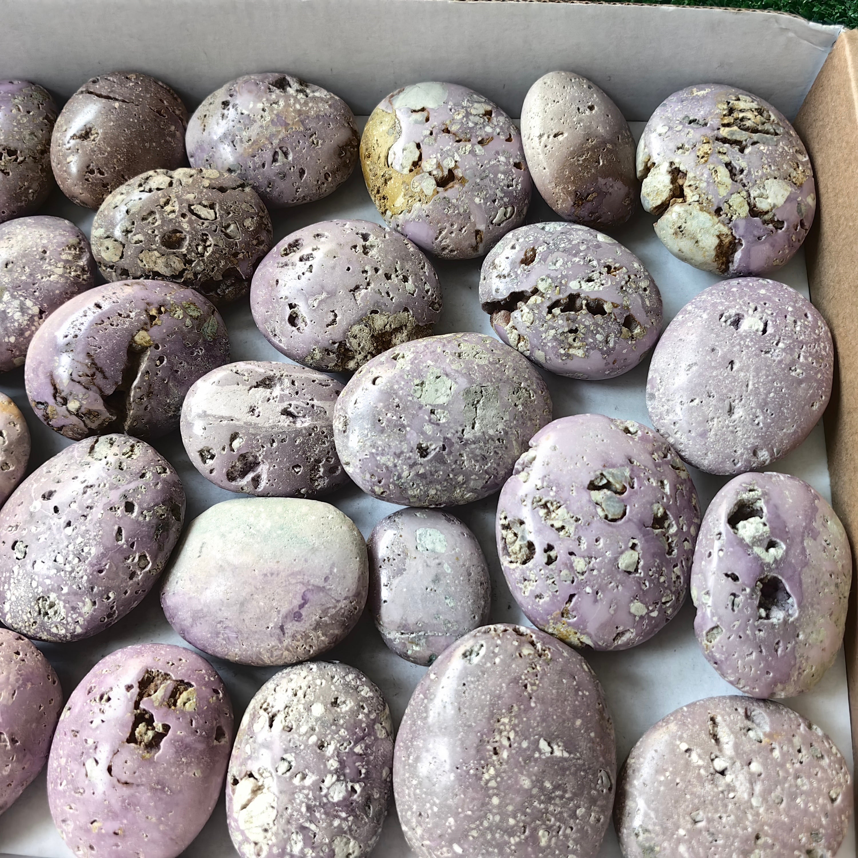 32 pc phosphosiderite drusy palms