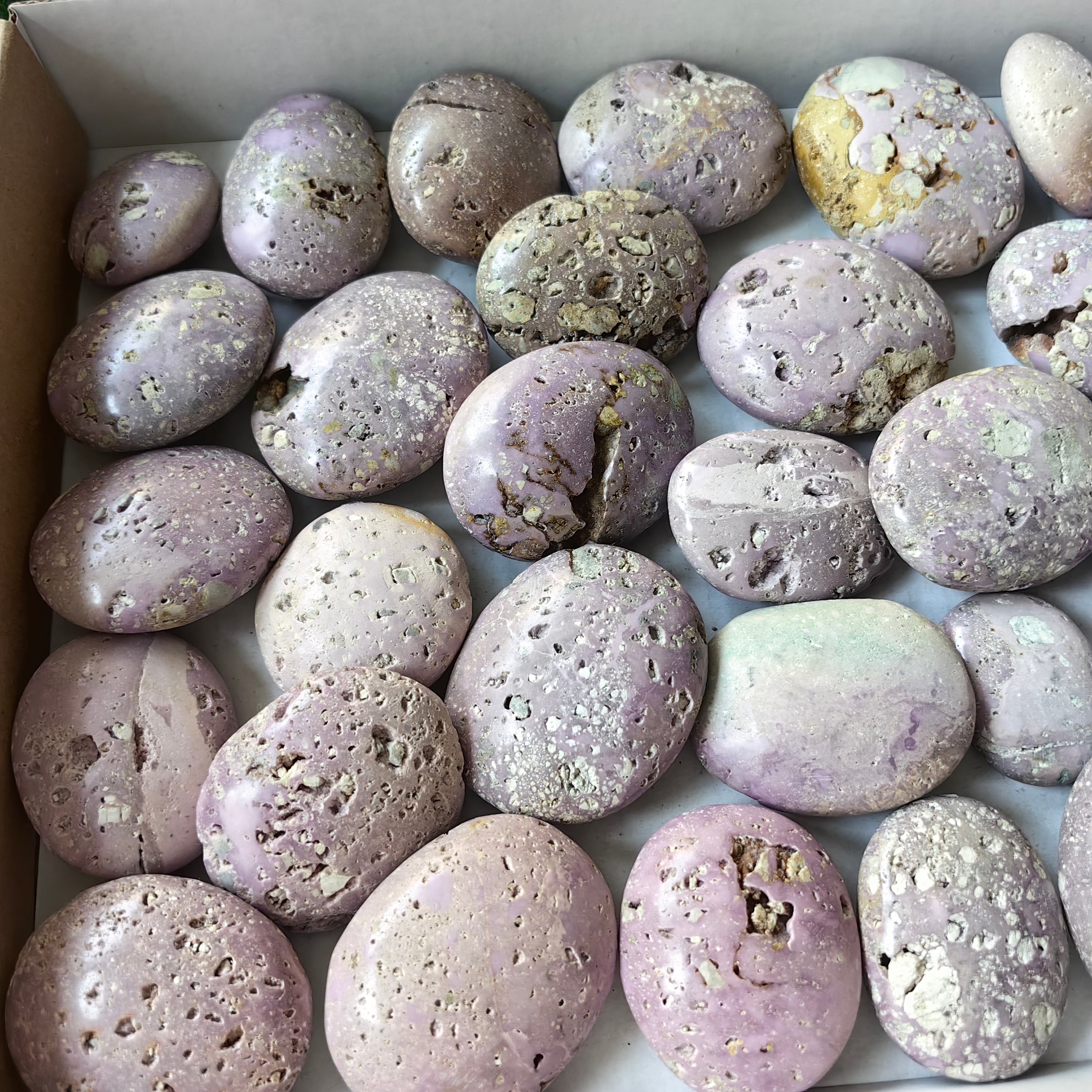 32 pc phosphosiderite drusy palms