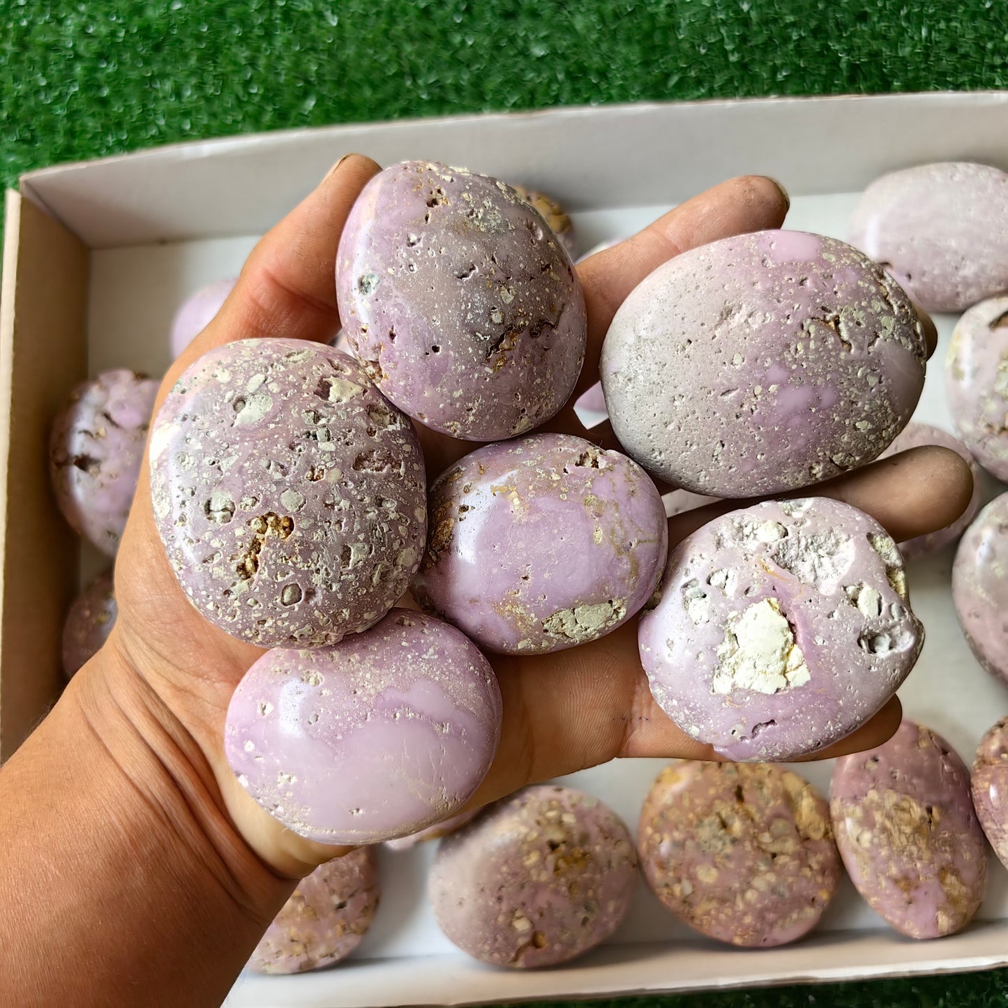 29 pc phosphosiderite drusy palms