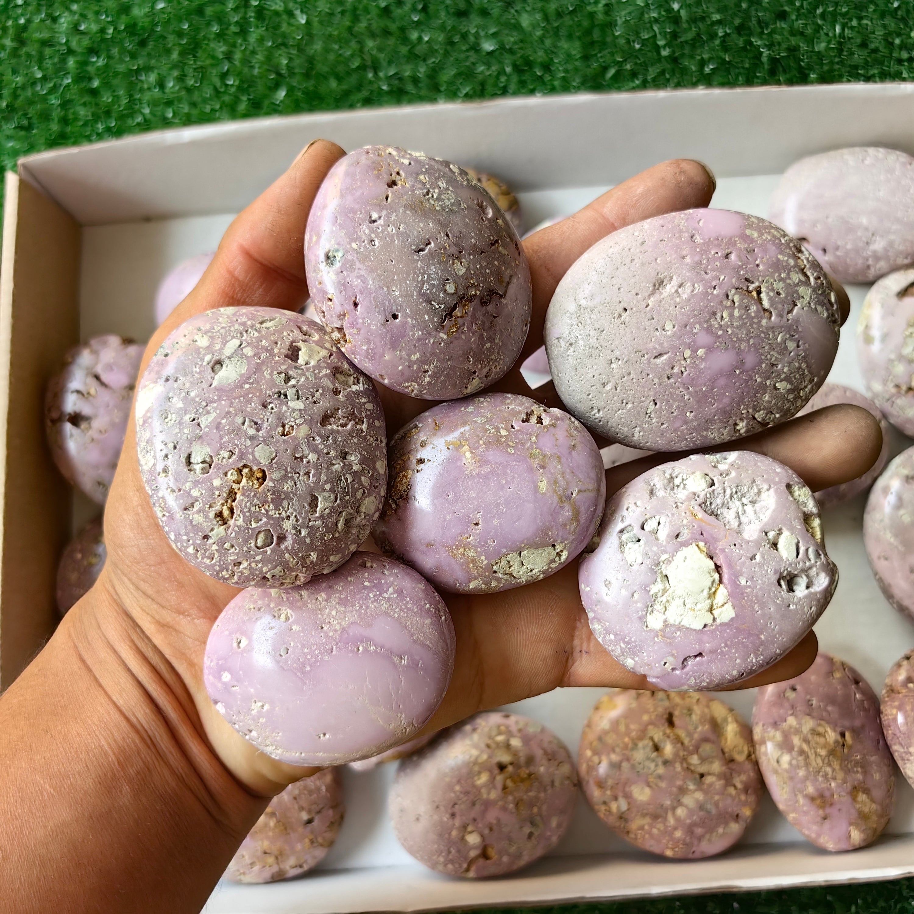 29 pc phosphosiderite drusy palms
