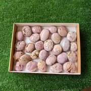28 pc phosphosiderite drusy palms