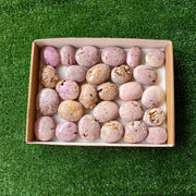 27 pc phosphosiderite drusy palms