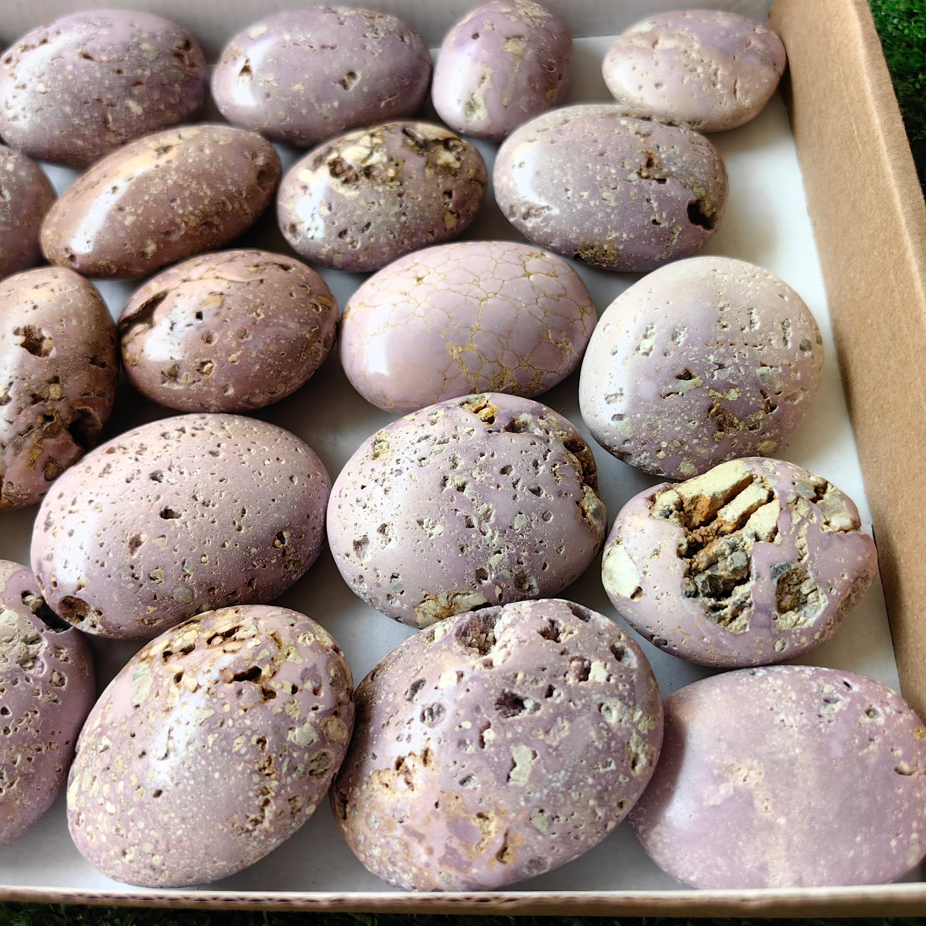 27 pc phosphosiderite drusy palms