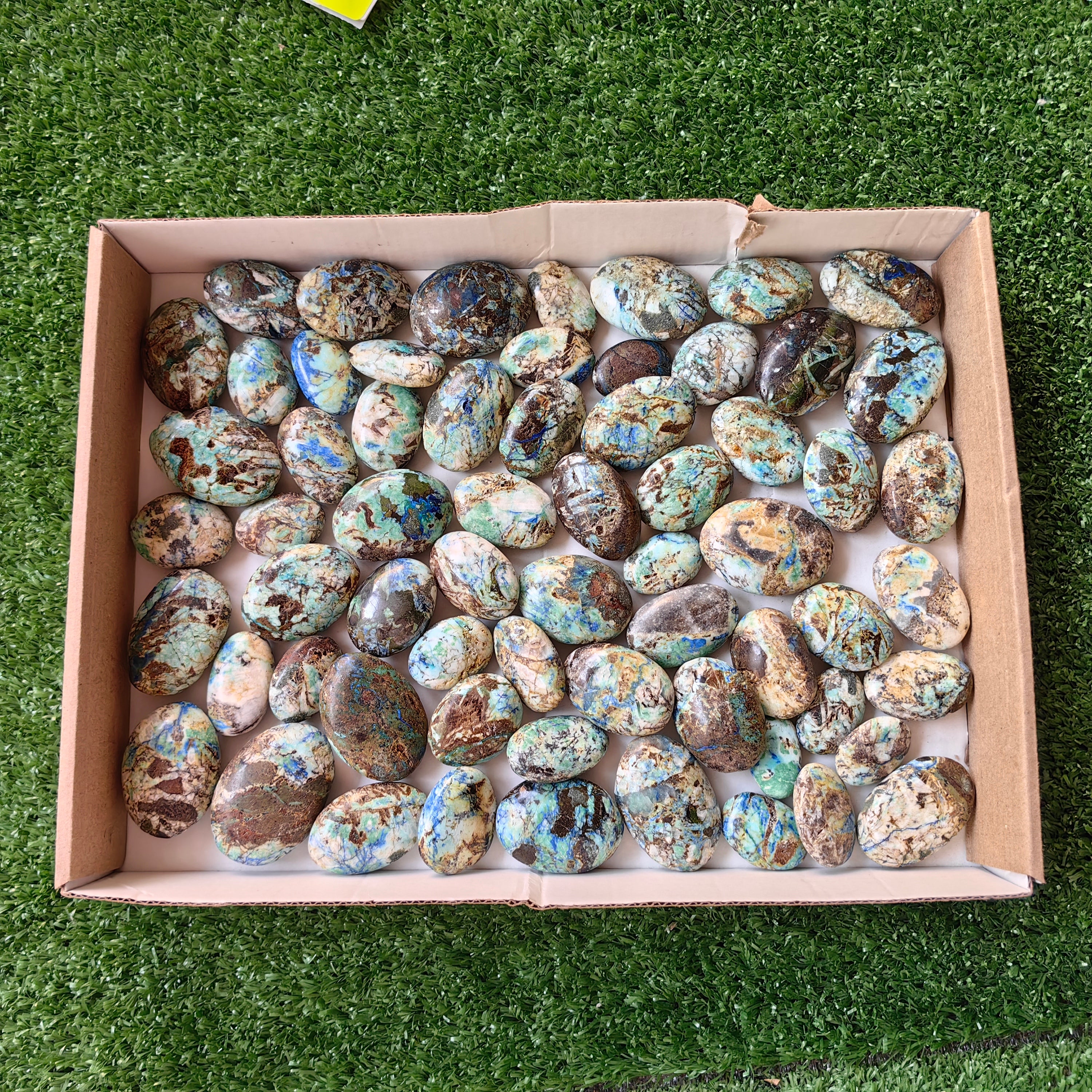 64 pc azurite with amazonite palms