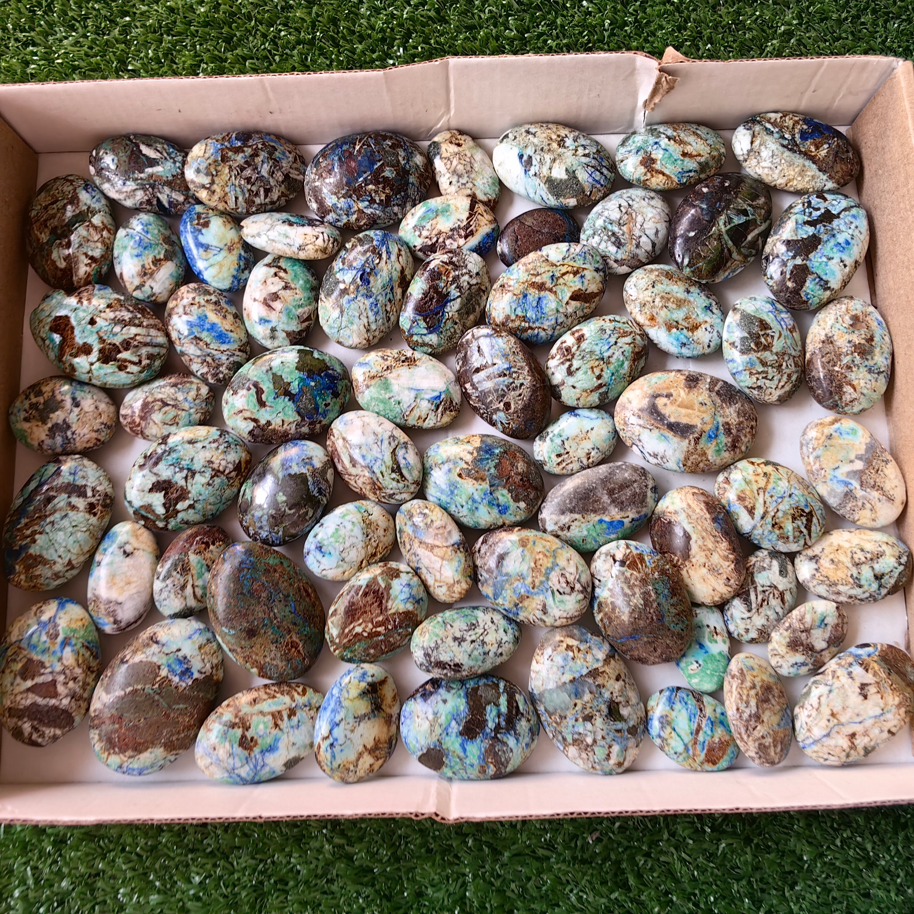 64 pc azurite with amazonite palms