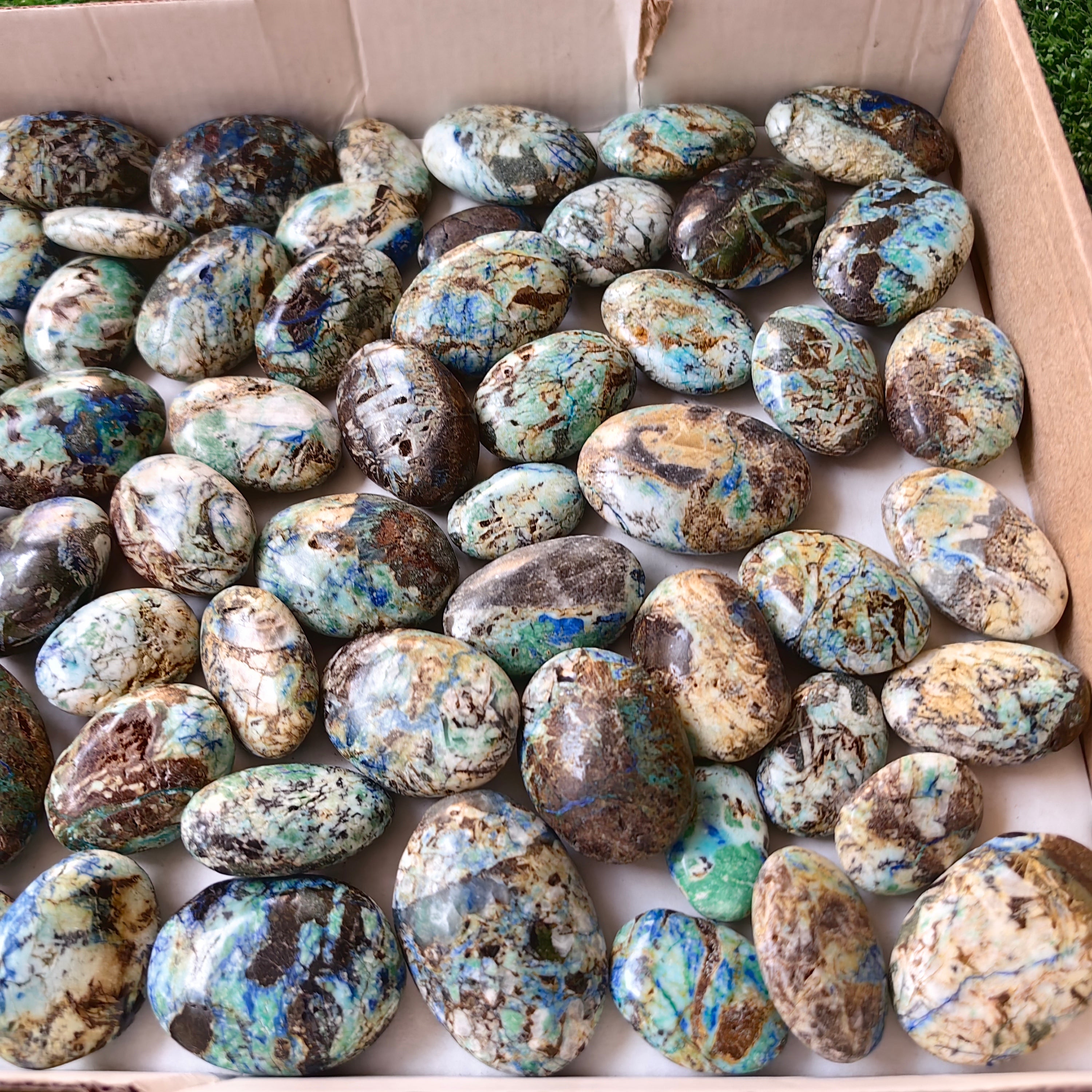 64 pc azurite with amazonite palms