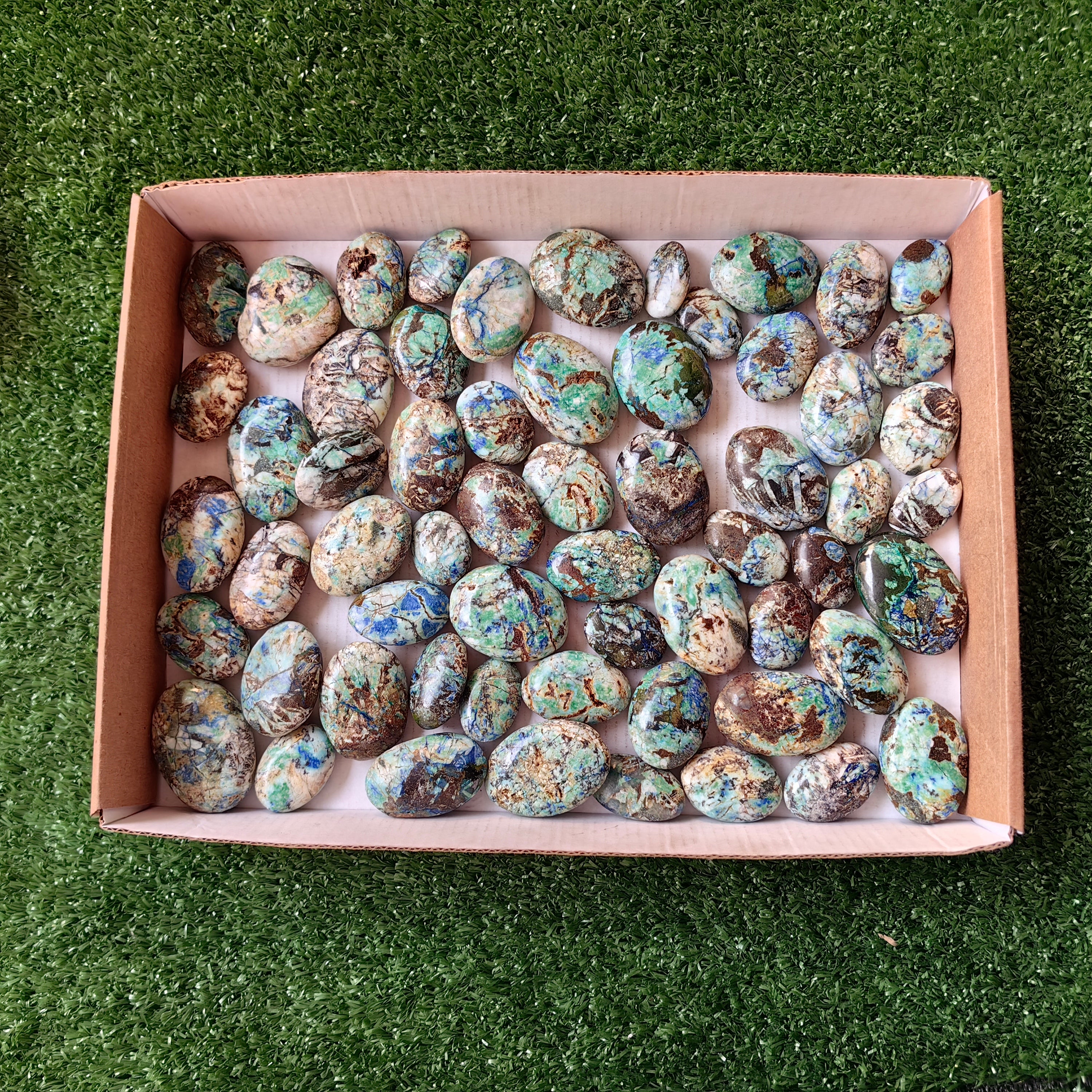 63 pc azurite with amazonite palms