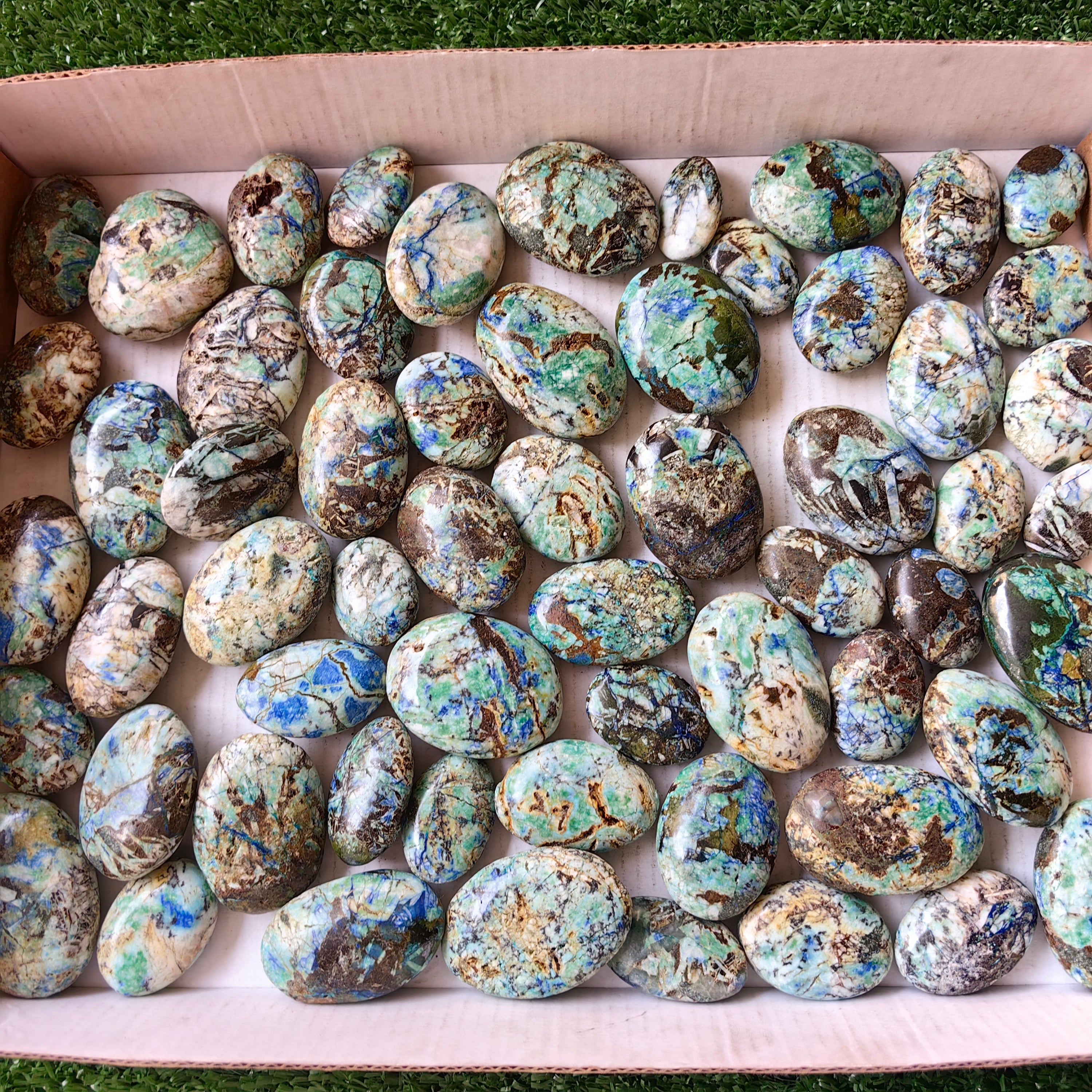63 pc azurite with amazonite palms