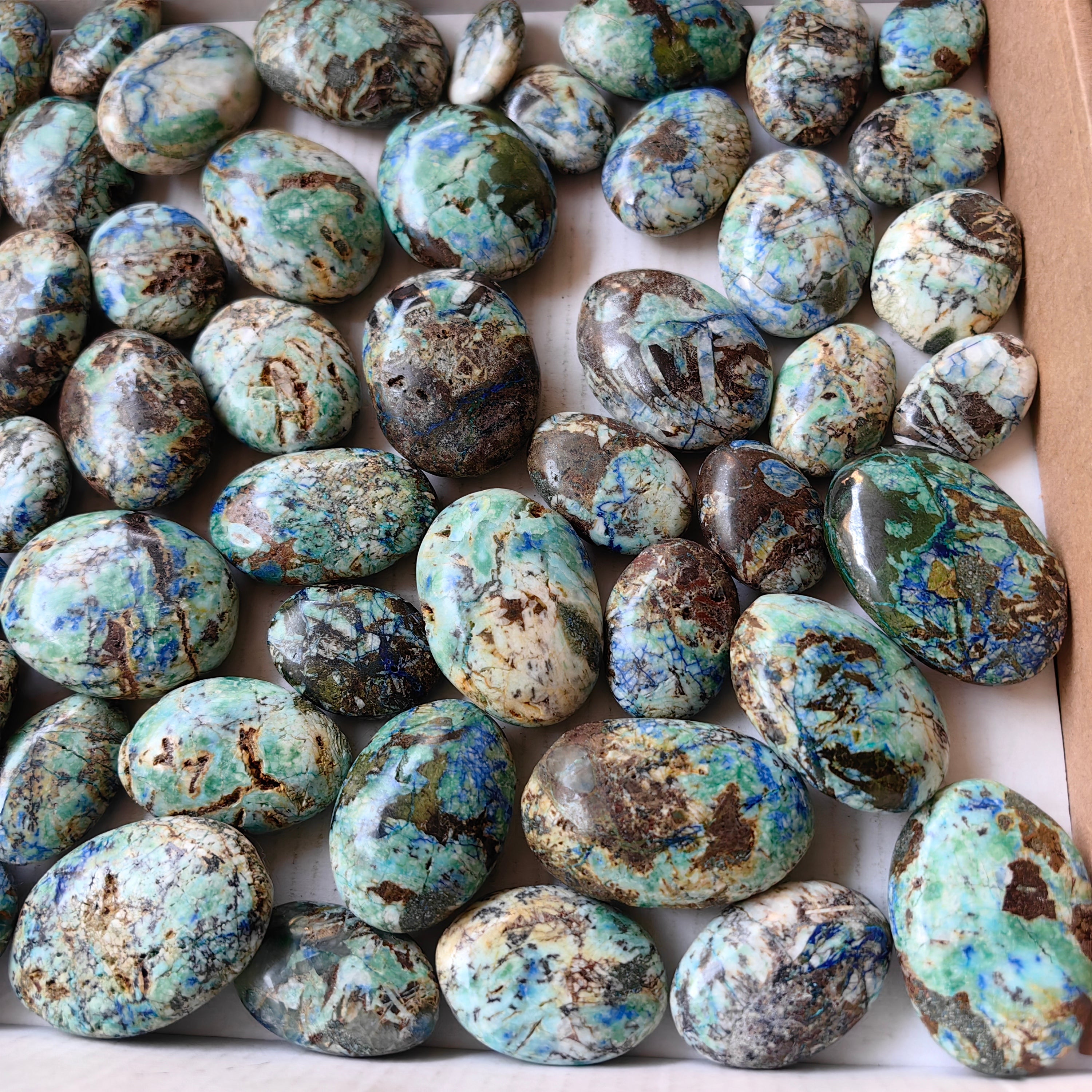 63 pc azurite with amazonite palms