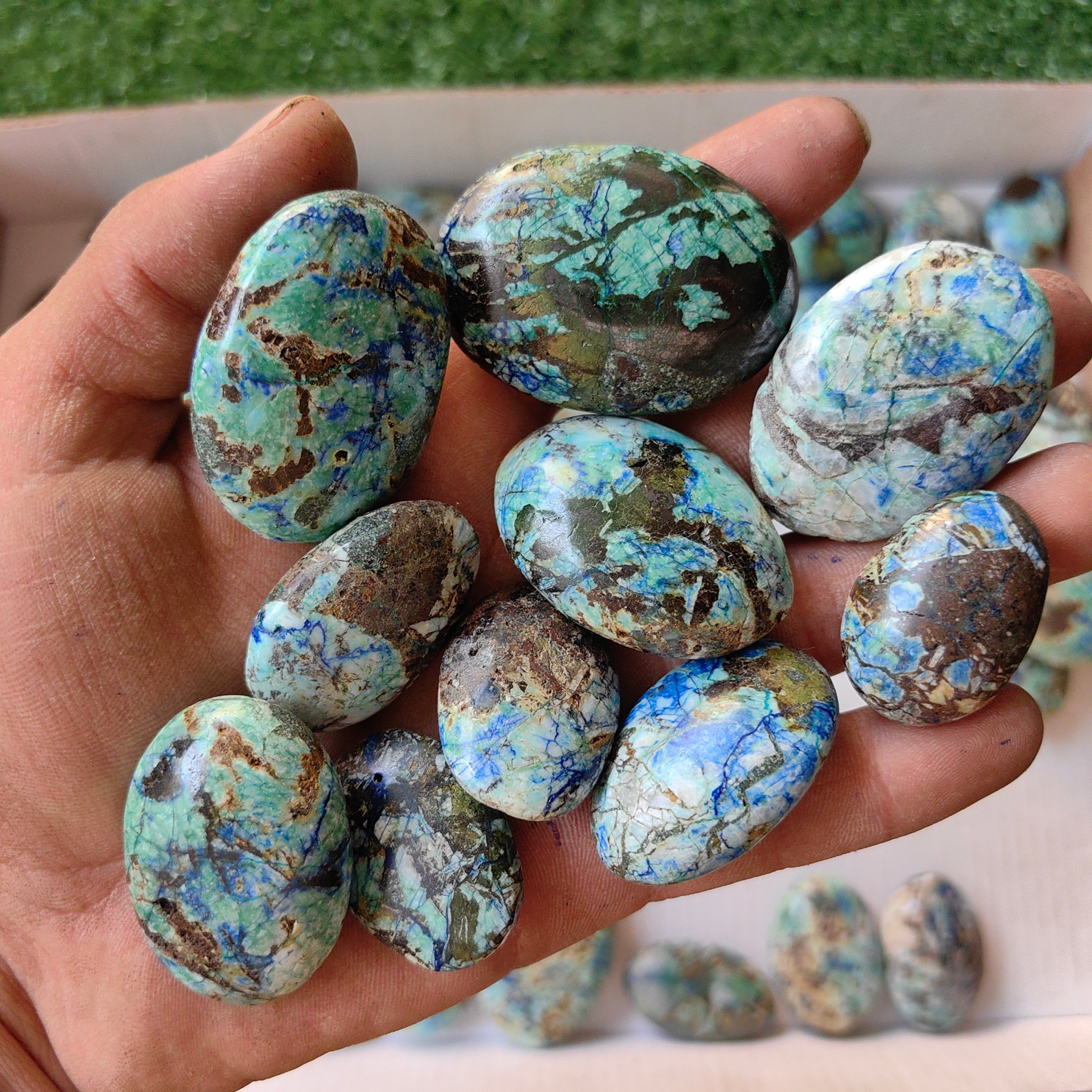 63 pc azurite with amazonite palms