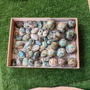 51 pc azurite with amazonite palms & spheres