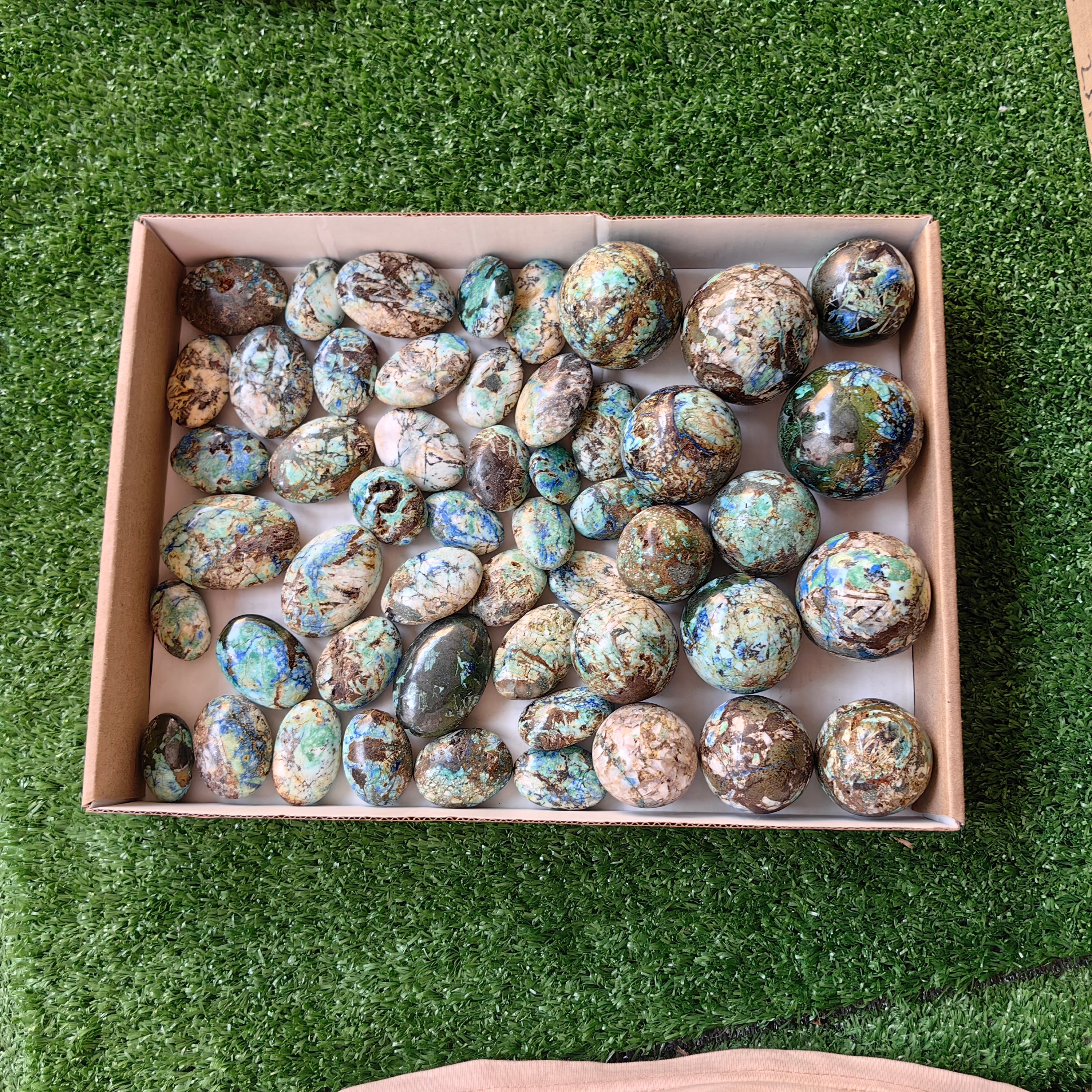 51 pc azurite with amazonite palms & spheres