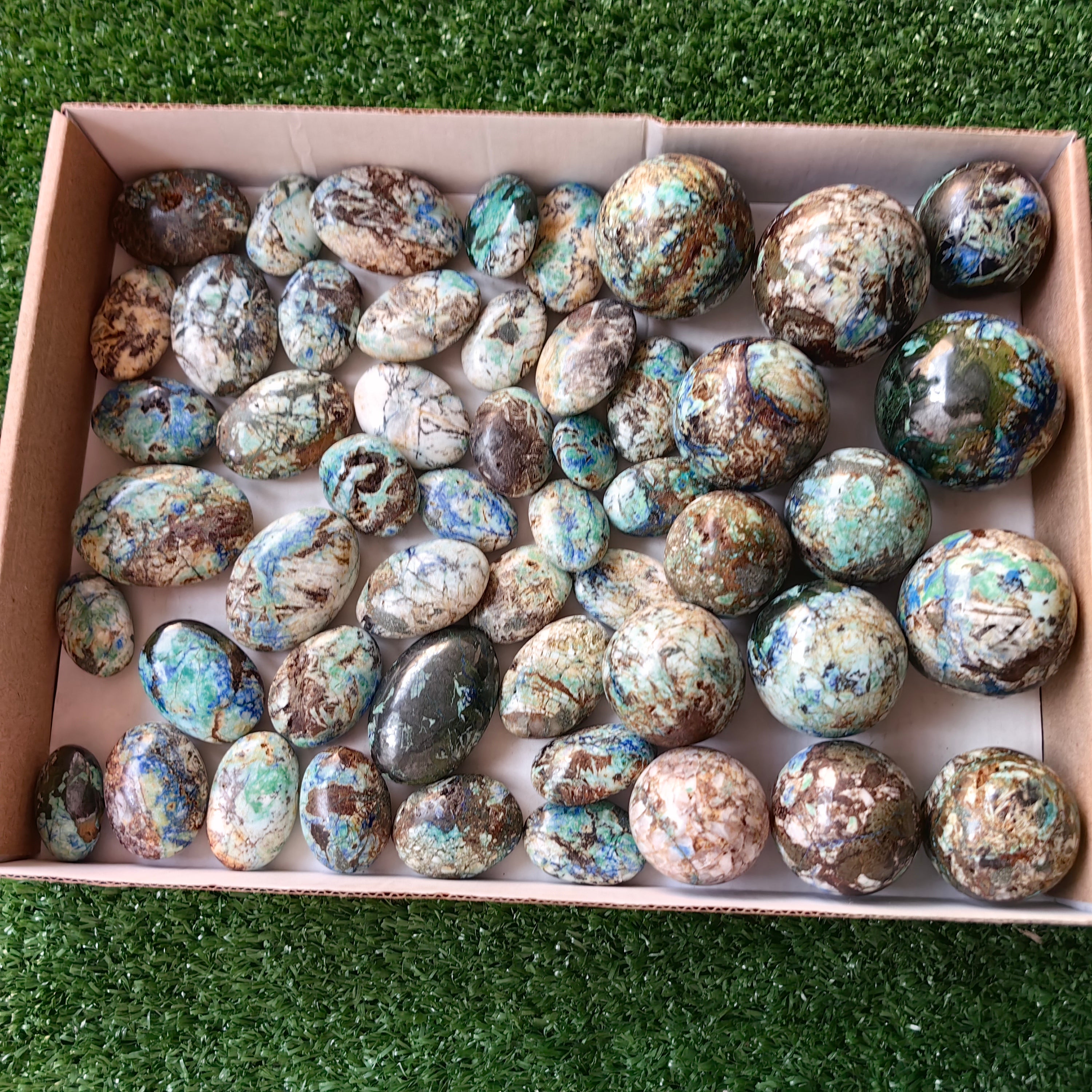 51 pc azurite with amazonite palms & spheres