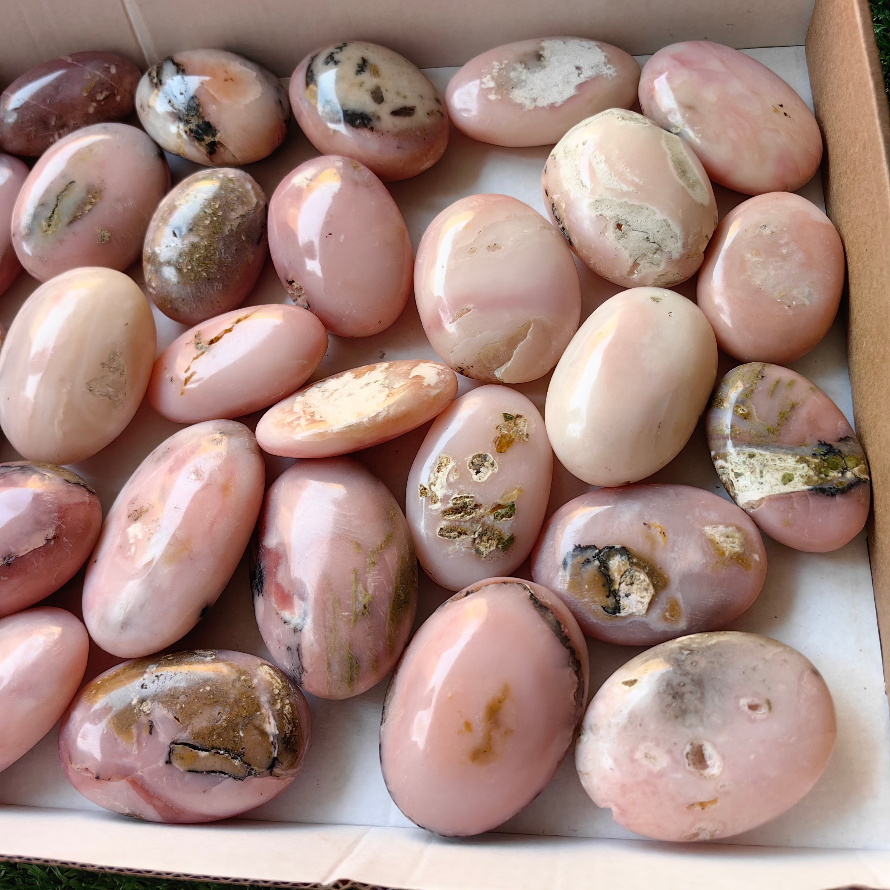 32 pc pink opal palms