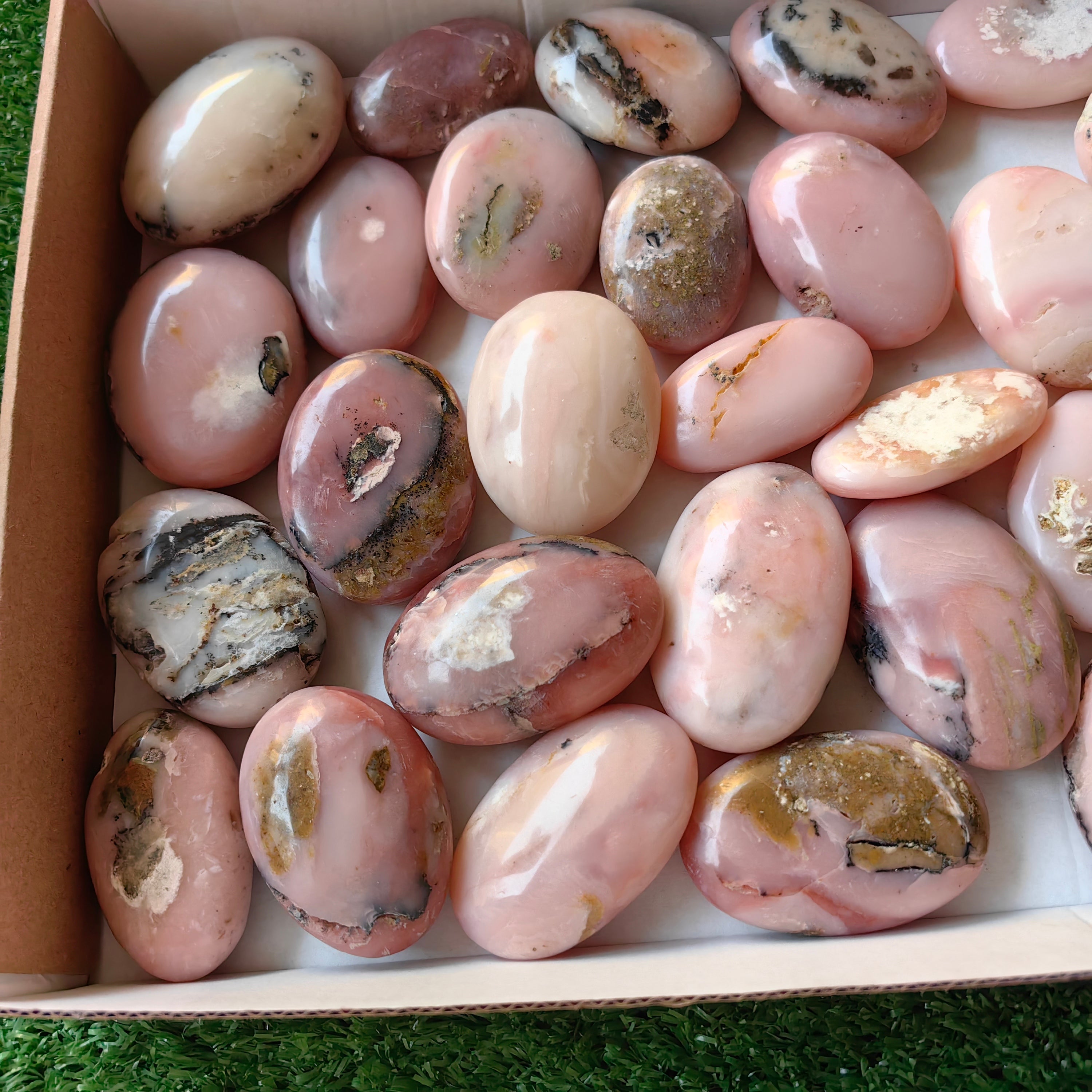 32 pc pink opal palms