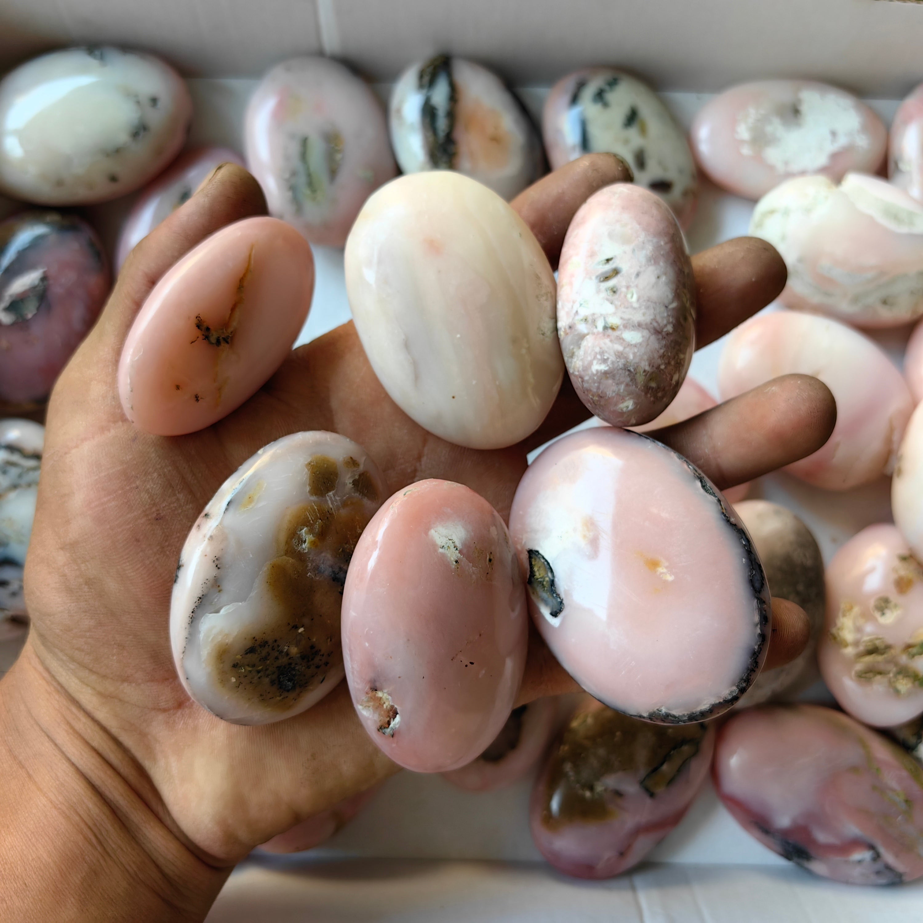32 pc pink opal palms
