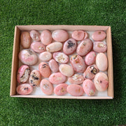 31 pc pink opal palms
