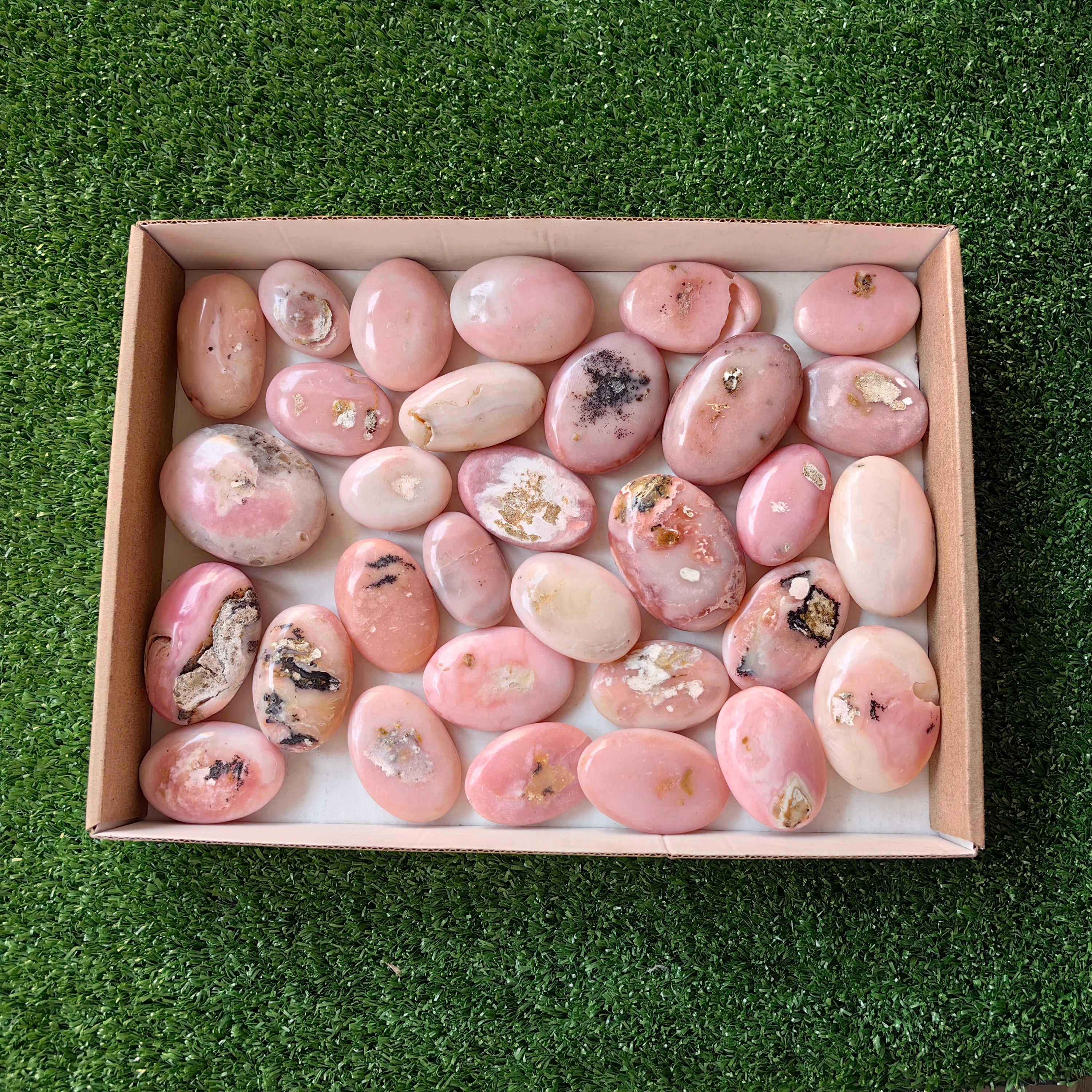 31 pc pink opal palms