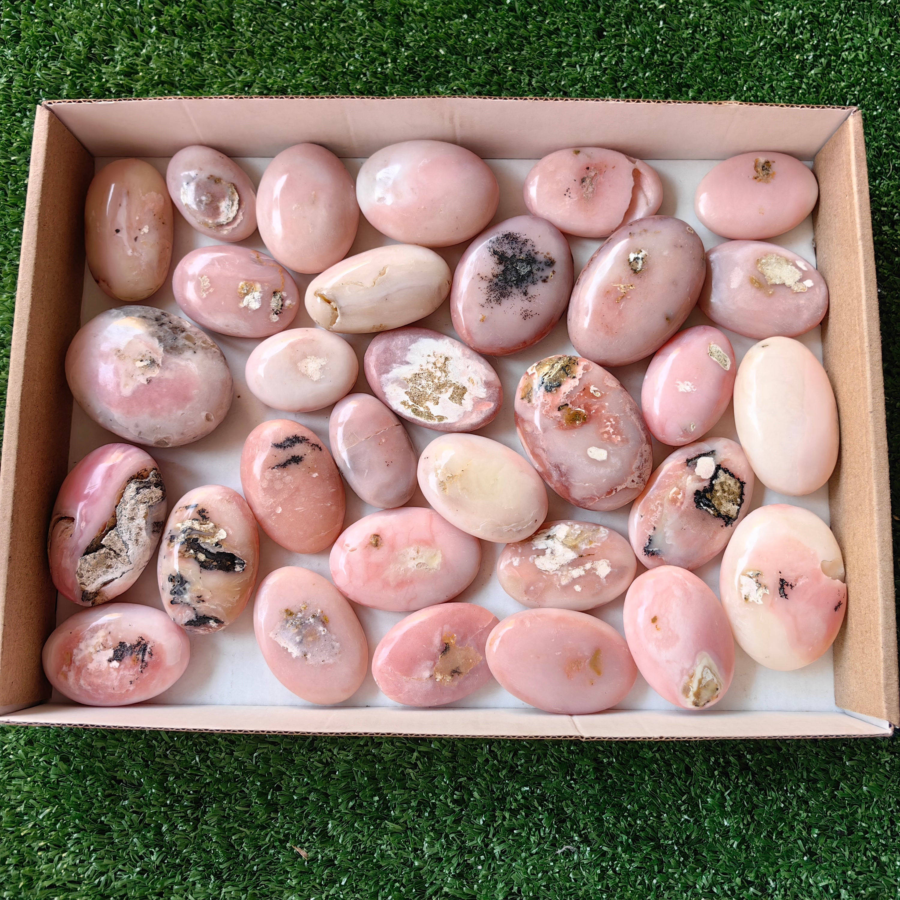 31 pc pink opal palms