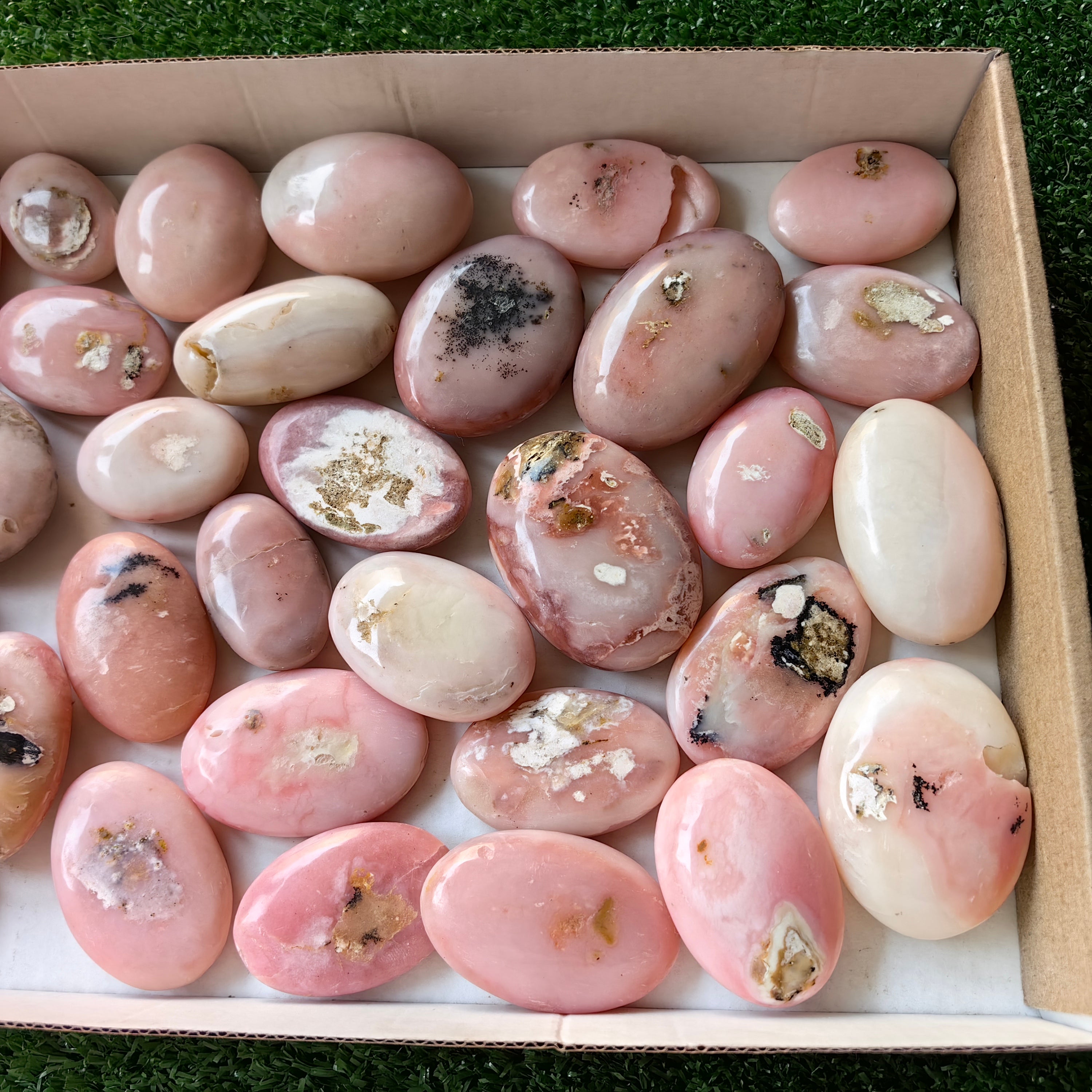 31 pc pink opal palms
