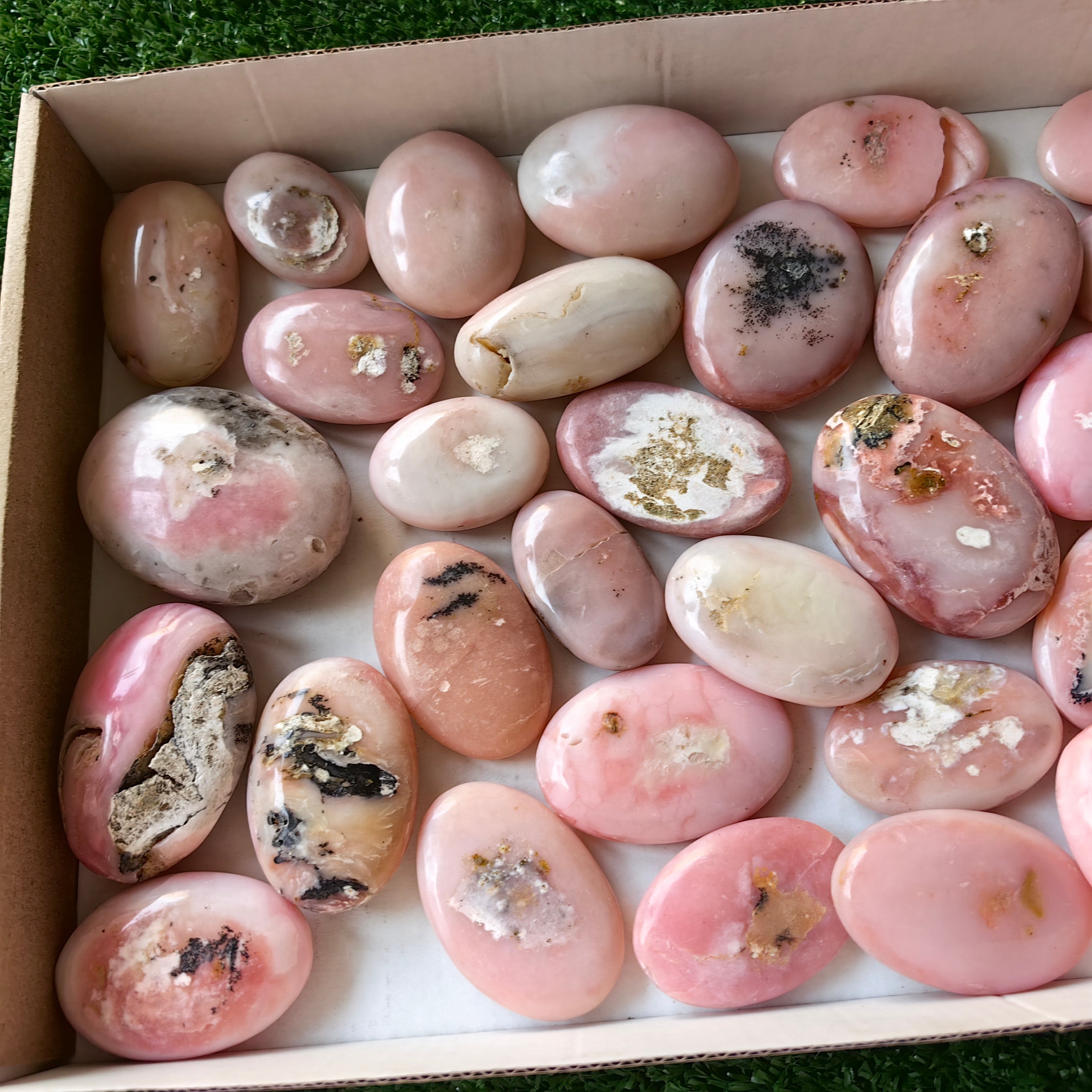 31 pc pink opal palms