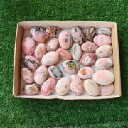 30 pc pink opal palms