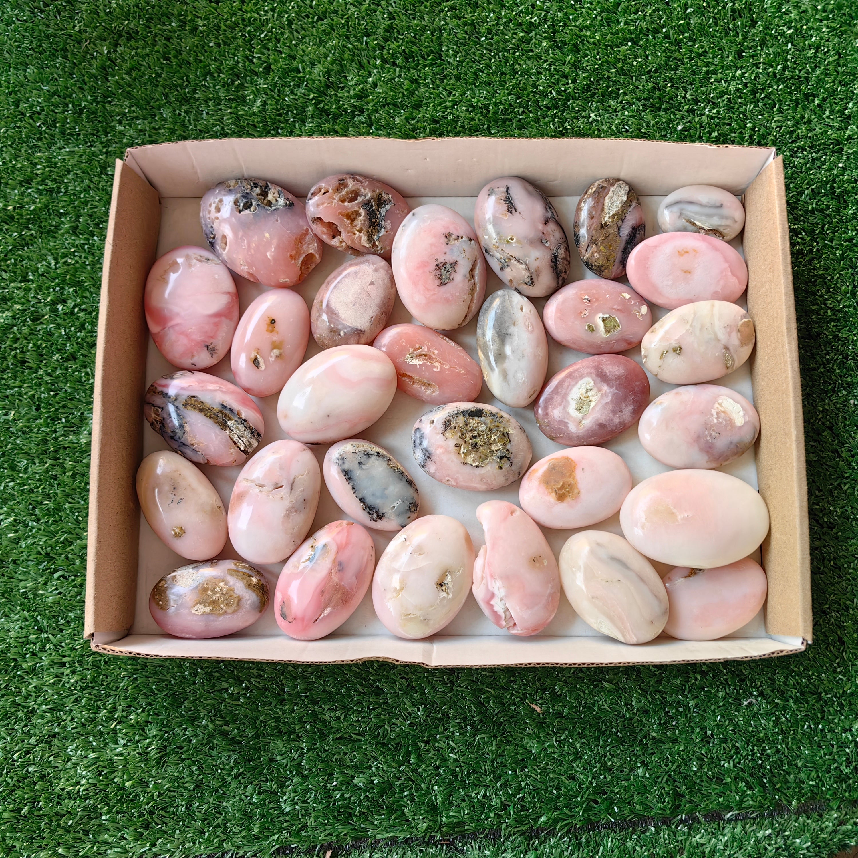30 pc pink opal palms