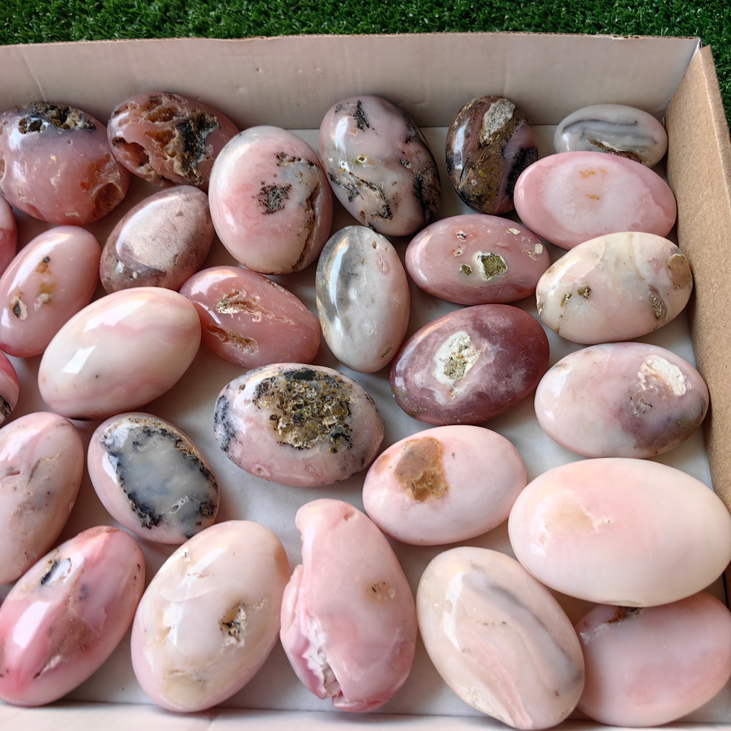 30 pc pink opal palms