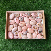 33 pc pink opal palms