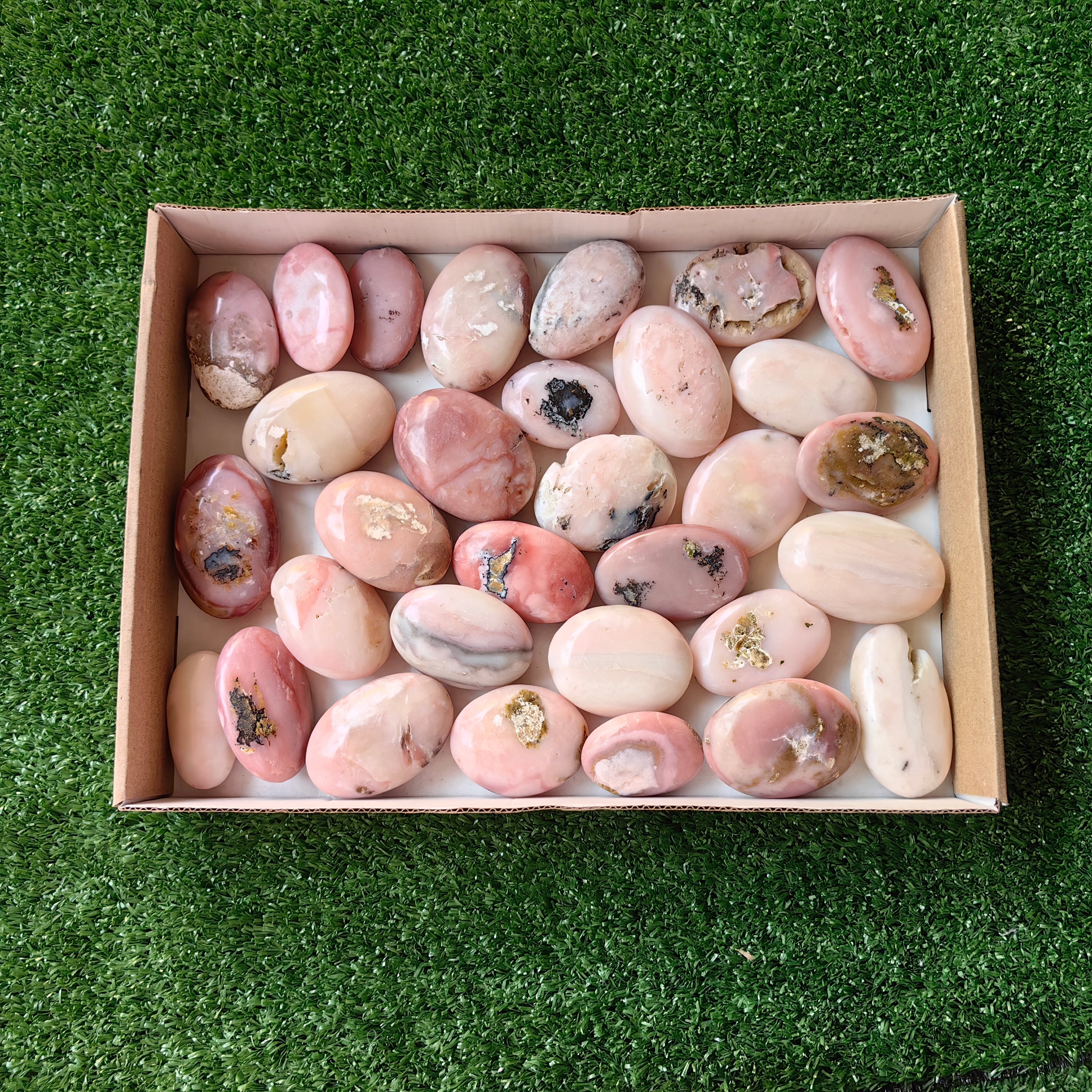 31 pc pink opal palms
