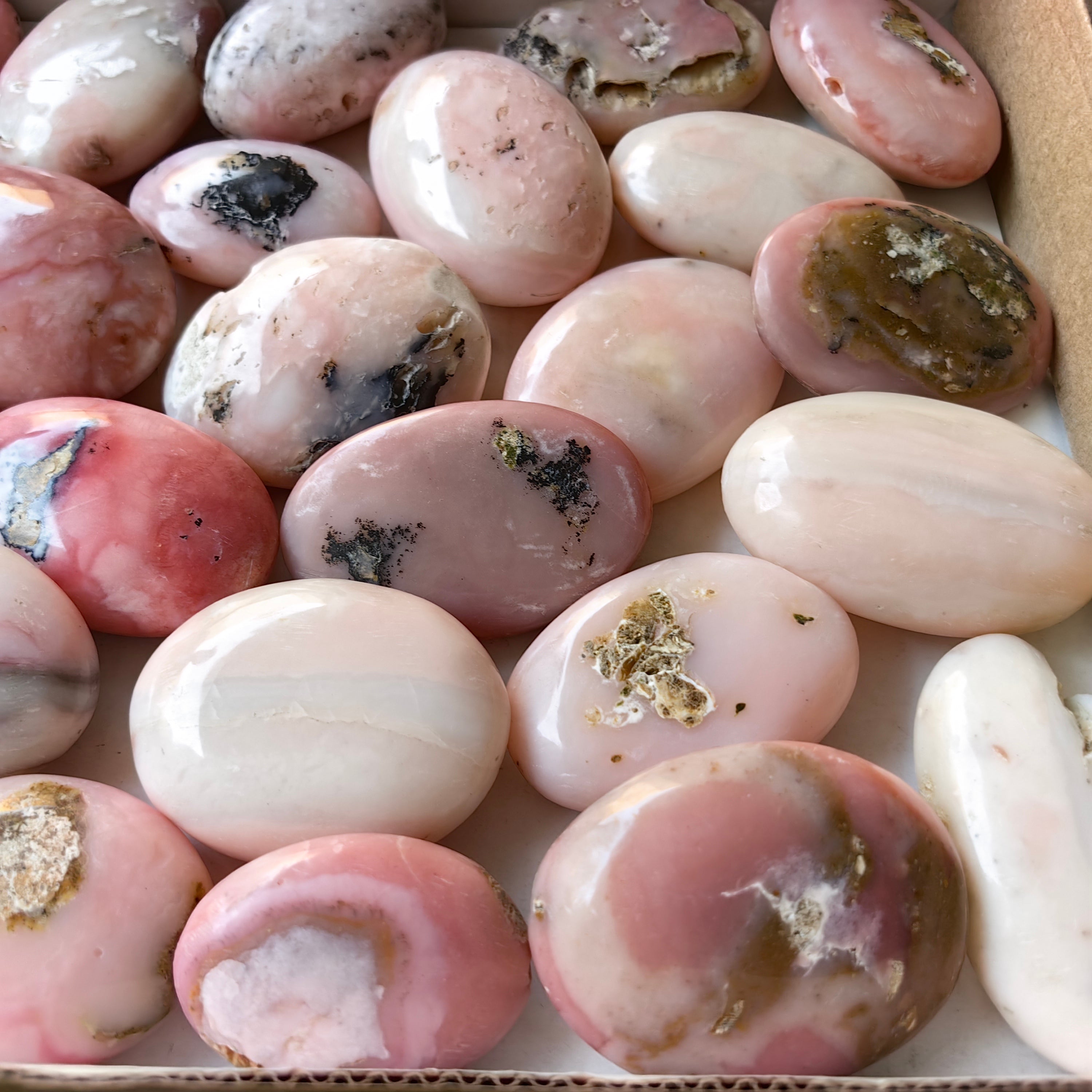 31 pc pink opal palms