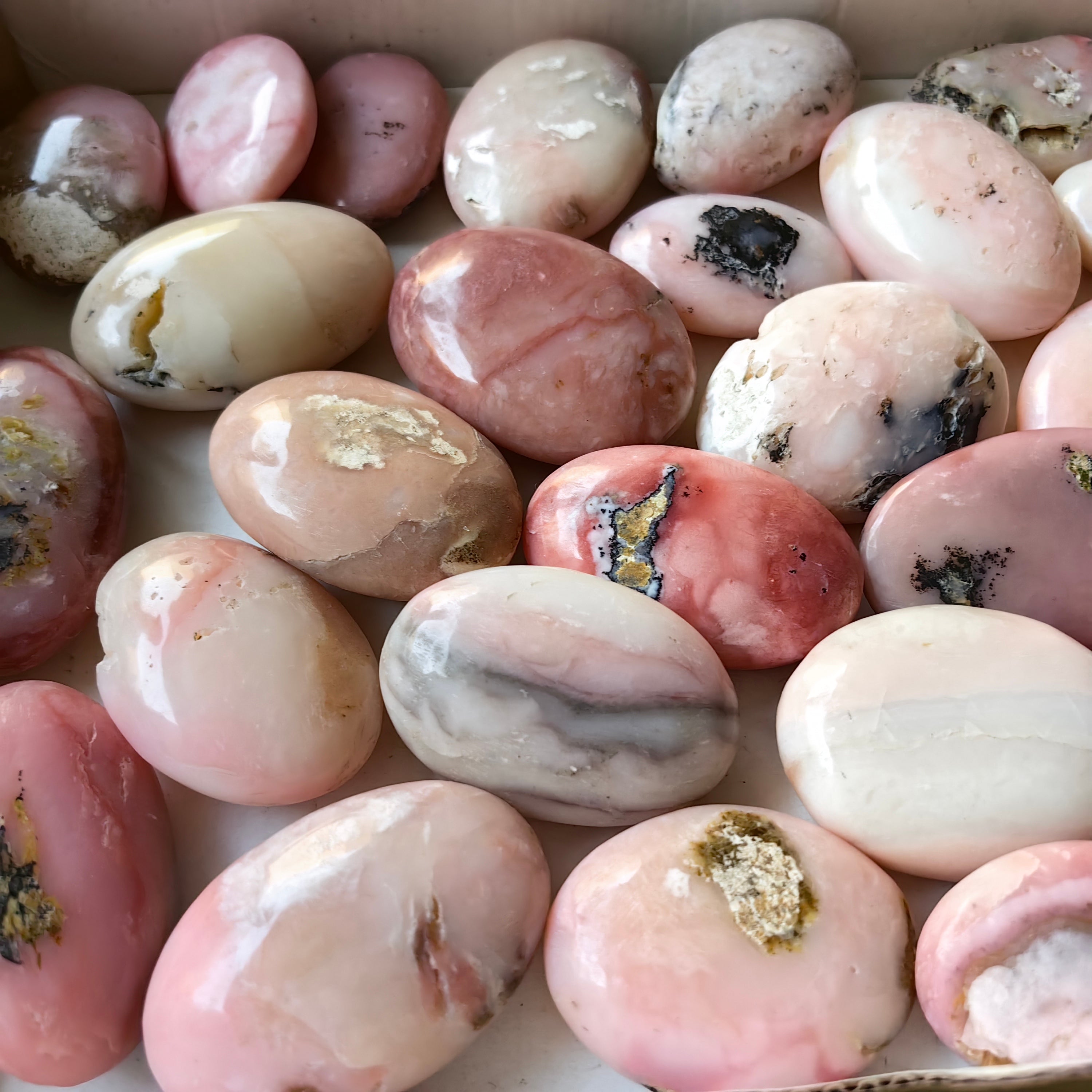 31 pc pink opal palms