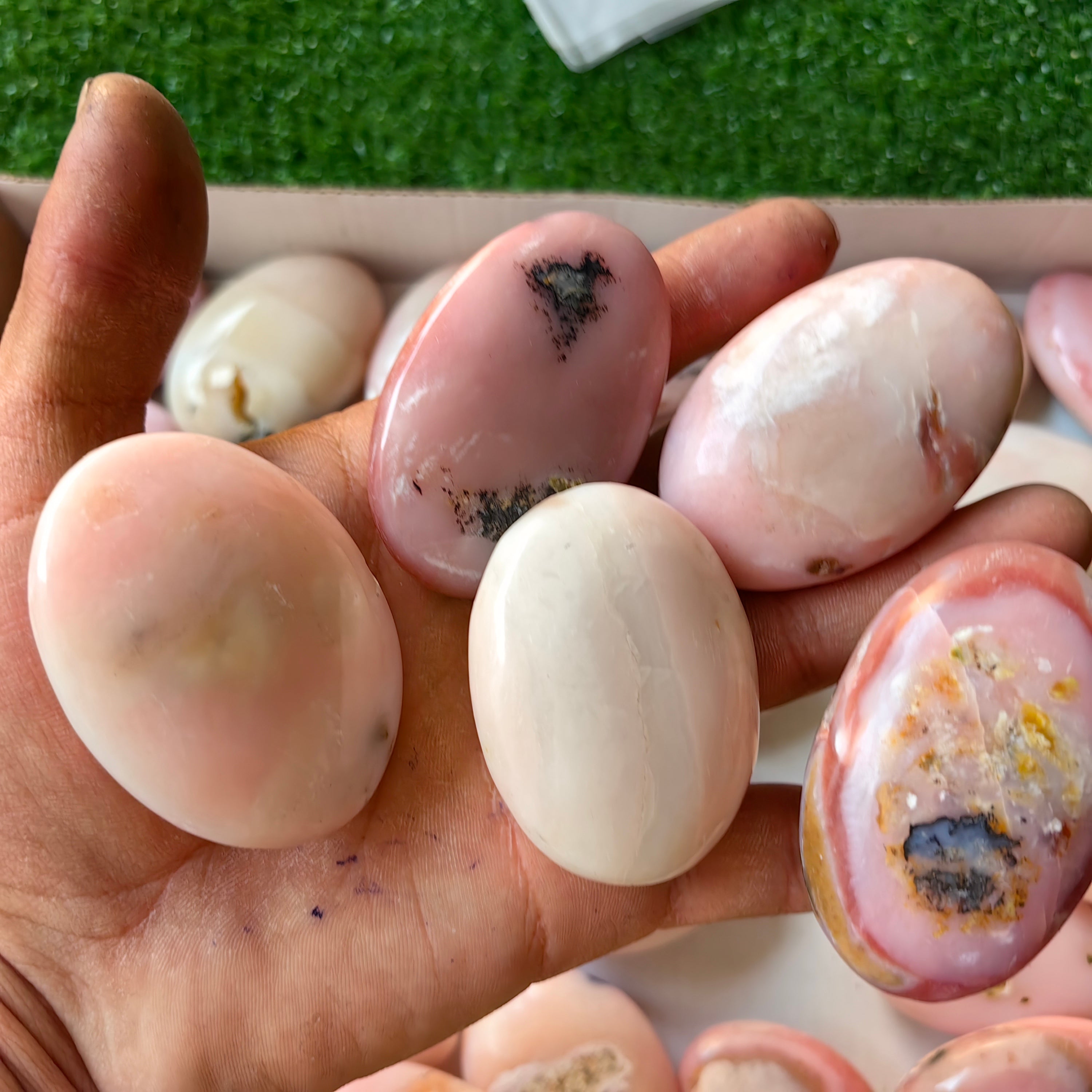31 pc pink opal palms