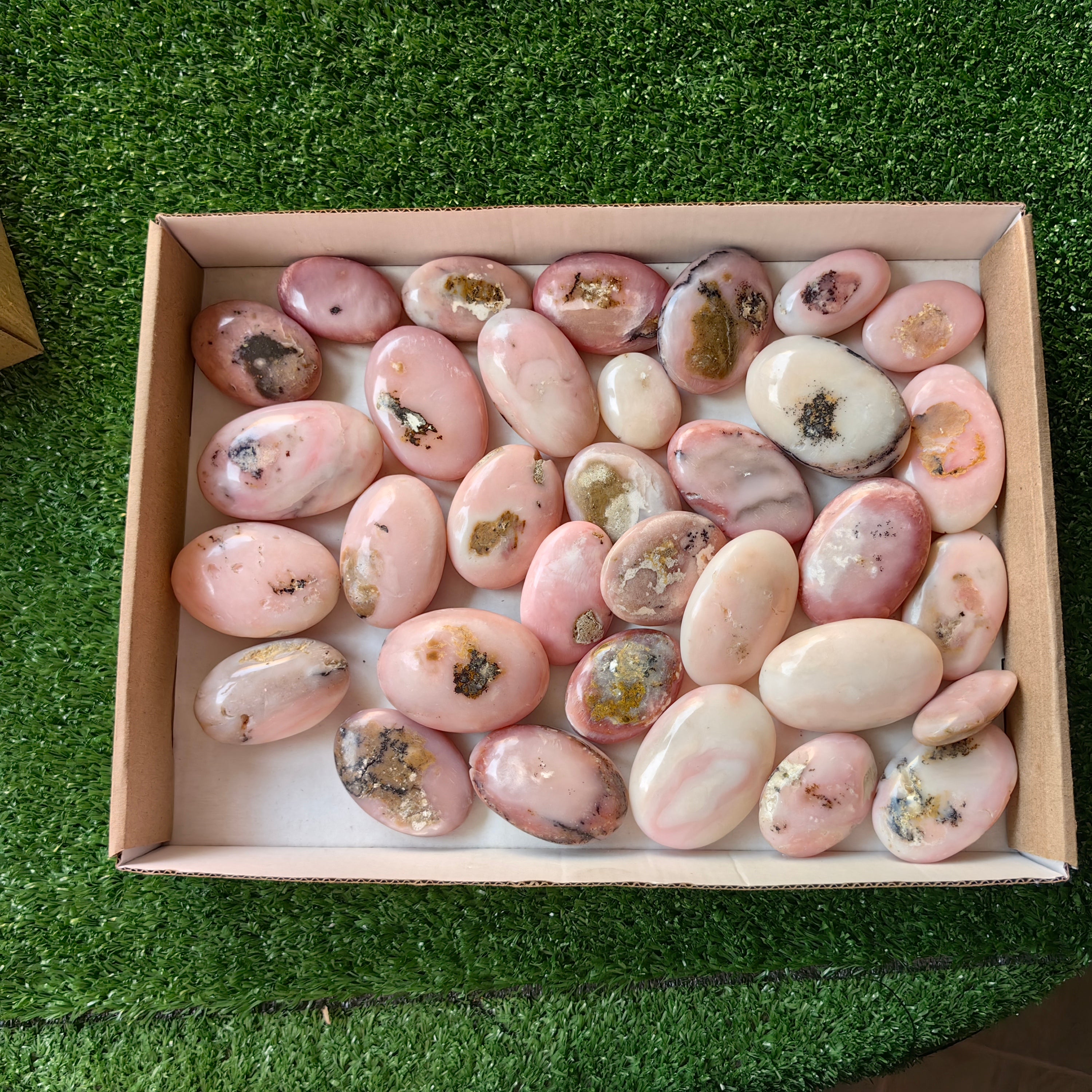33 pc pink opal palms