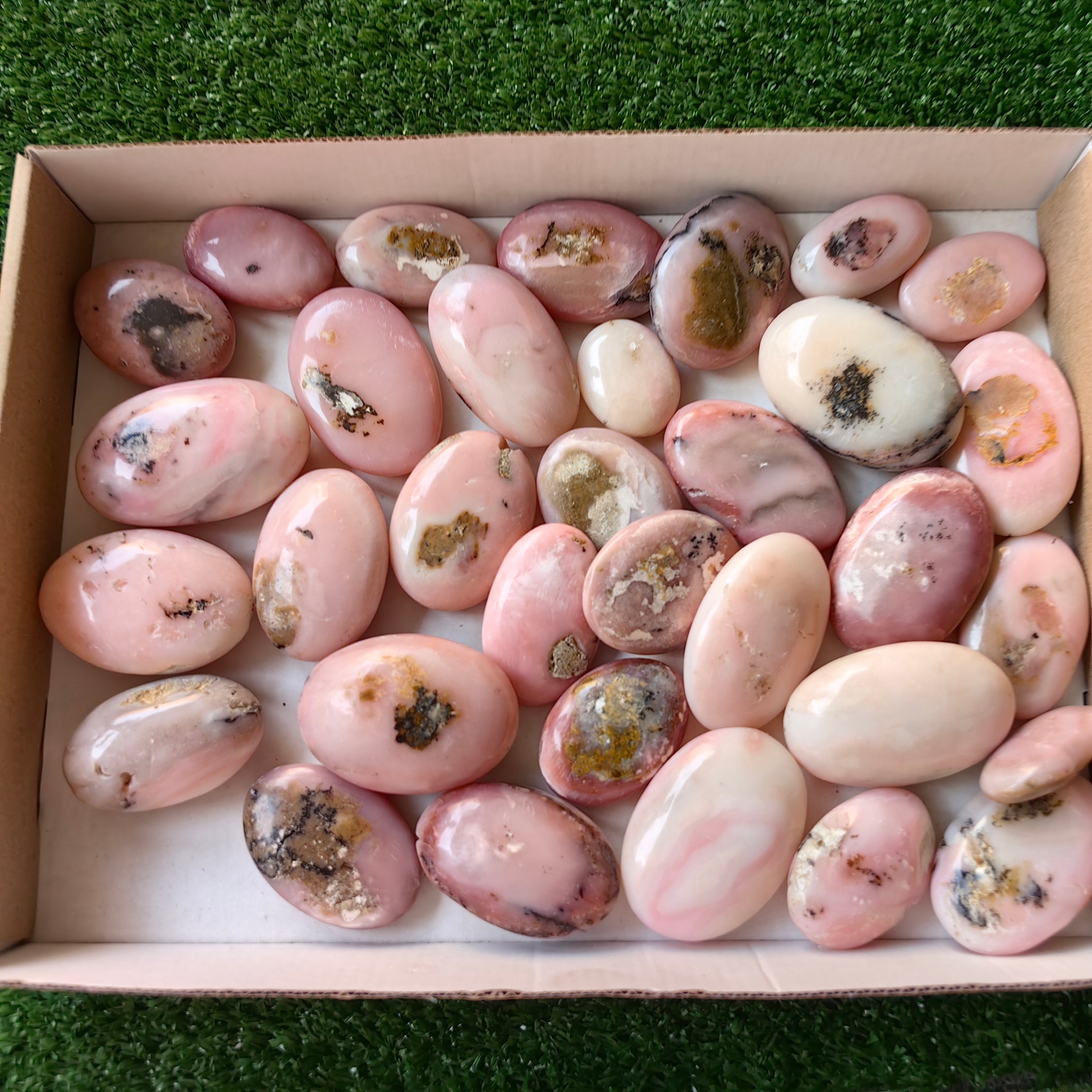 33 pc pink opal palms