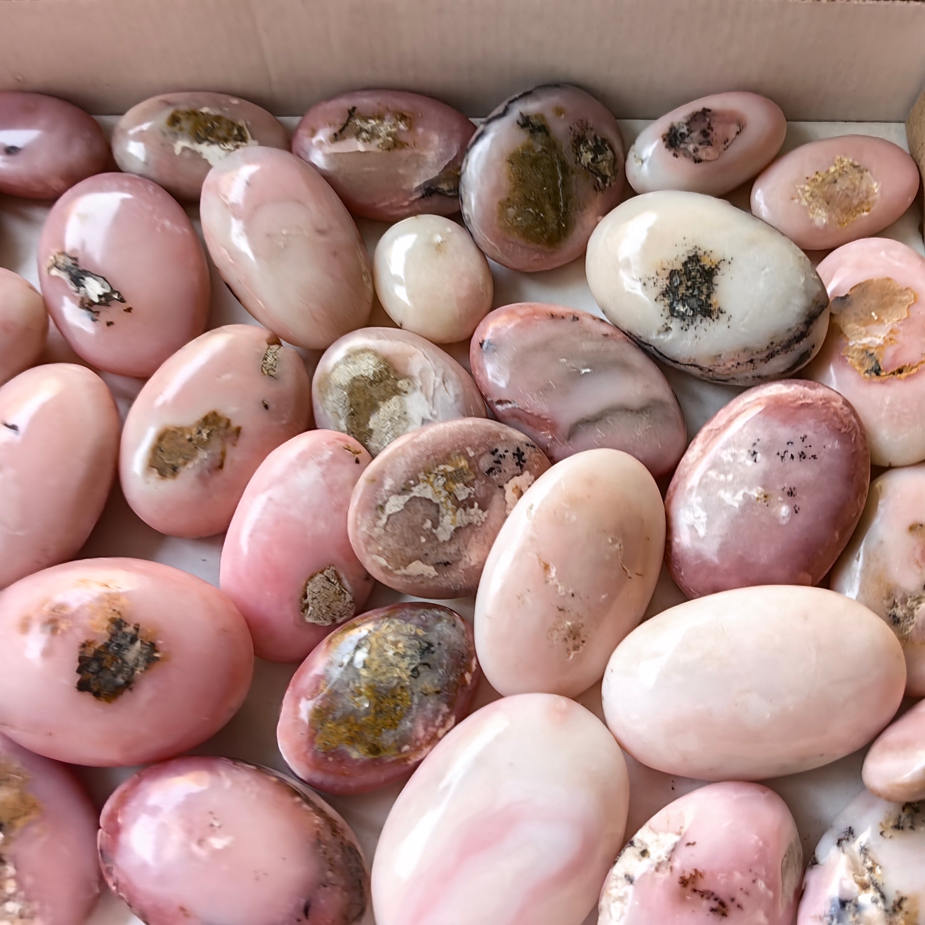 33 pc pink opal palms