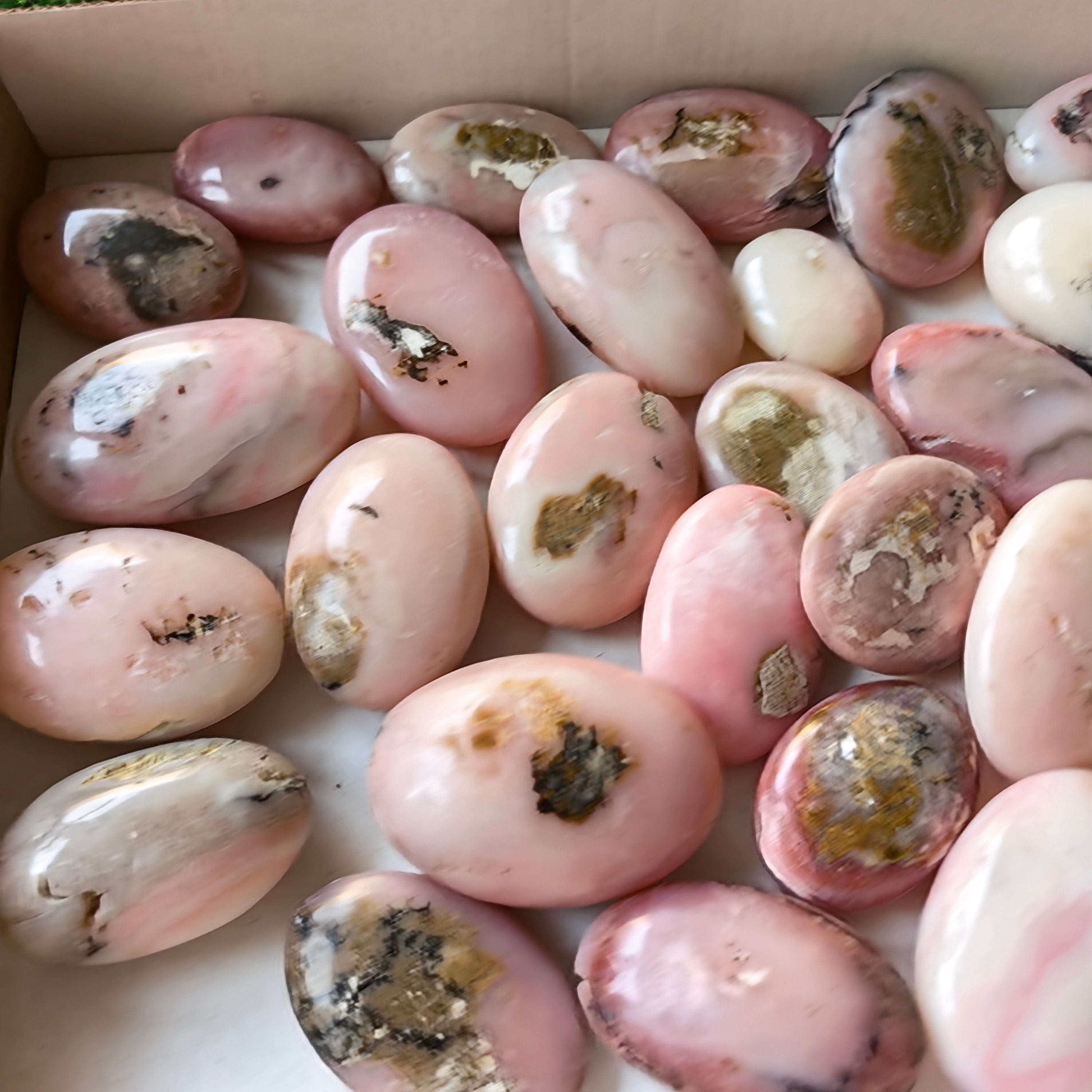33 pc pink opal palms