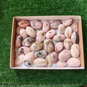 32 pc pink opal palms
