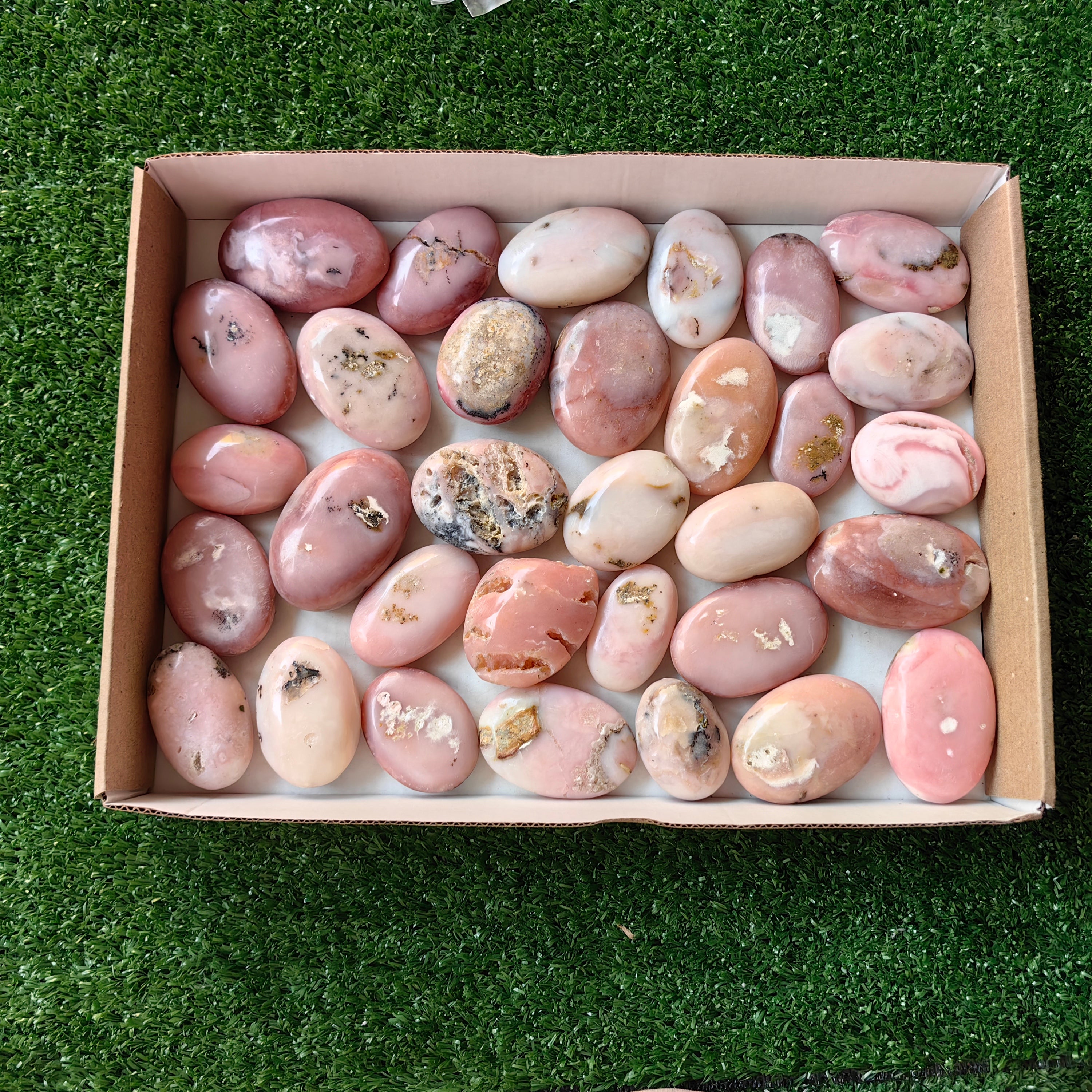 32 pc pink opal palms