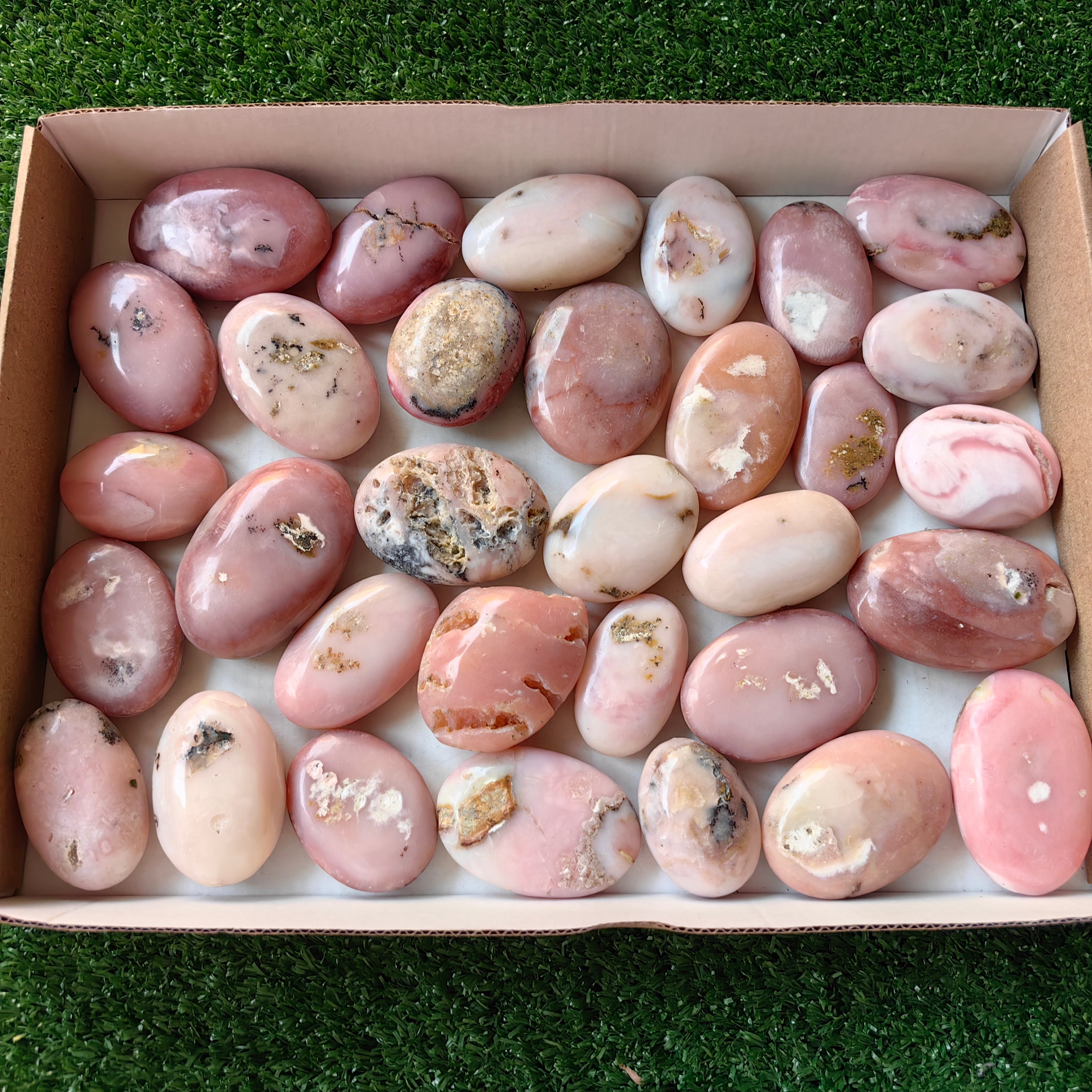 32 pc pink opal palms