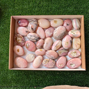 30 pc pink opal palms