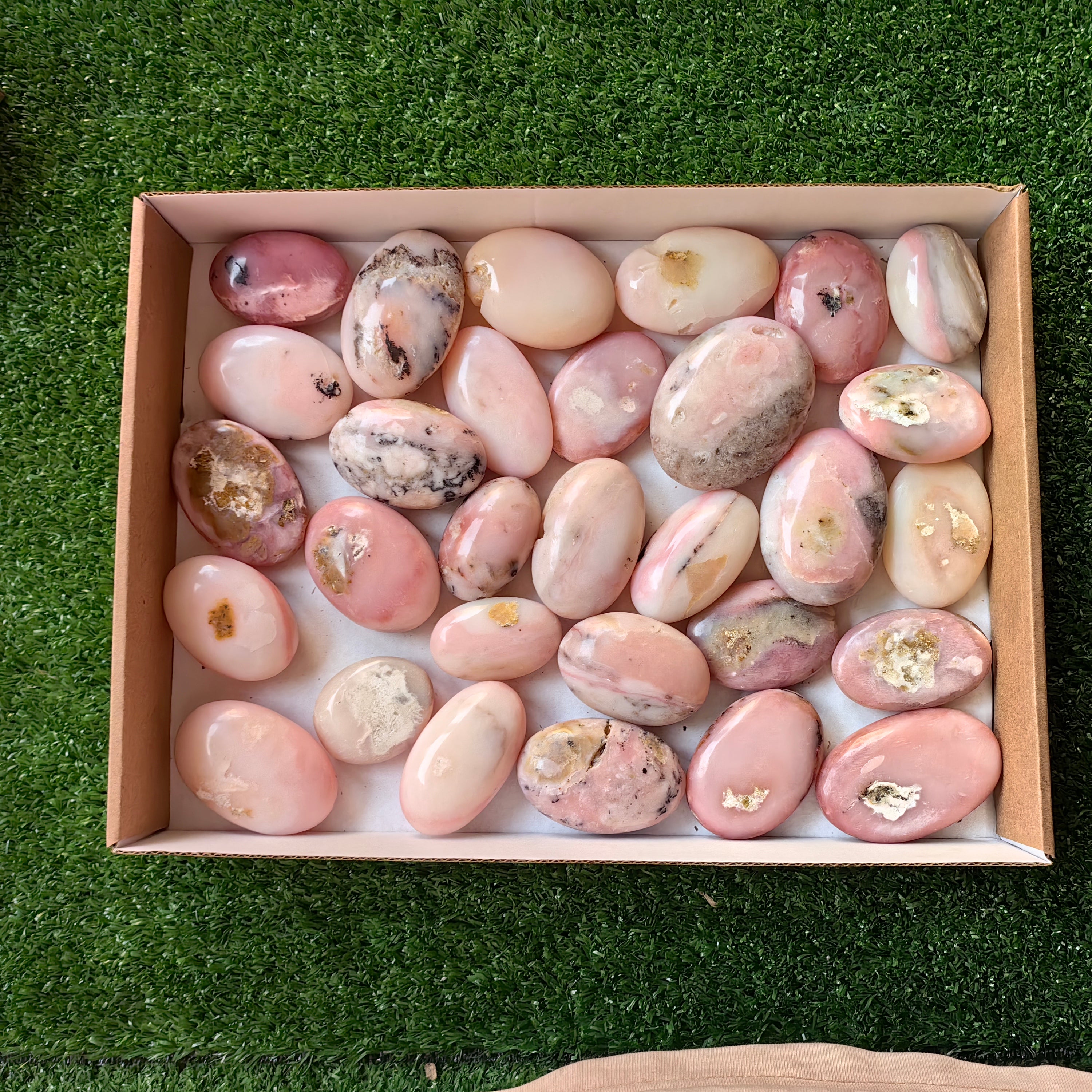 30 pc pink opal palms