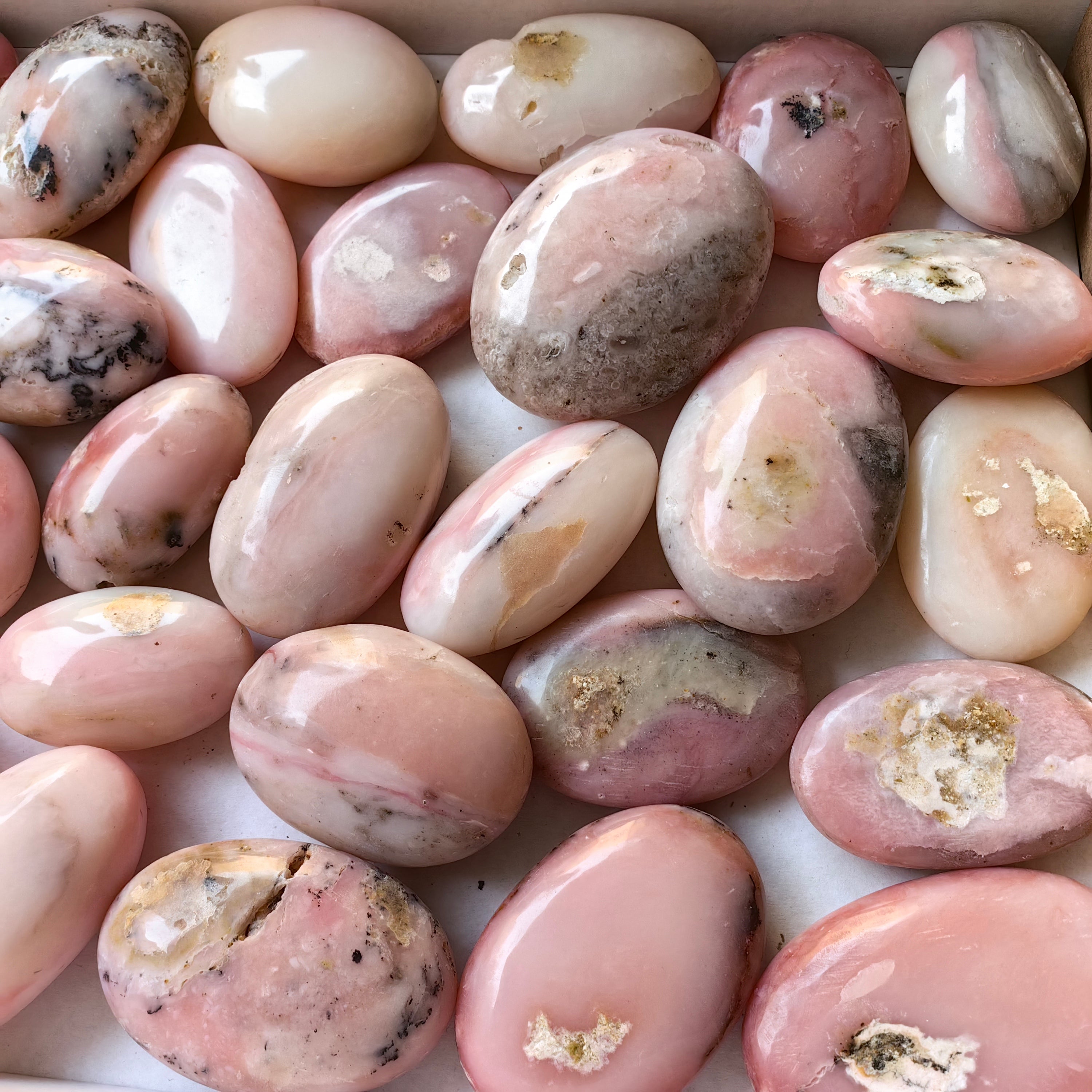 30 pc pink opal palms