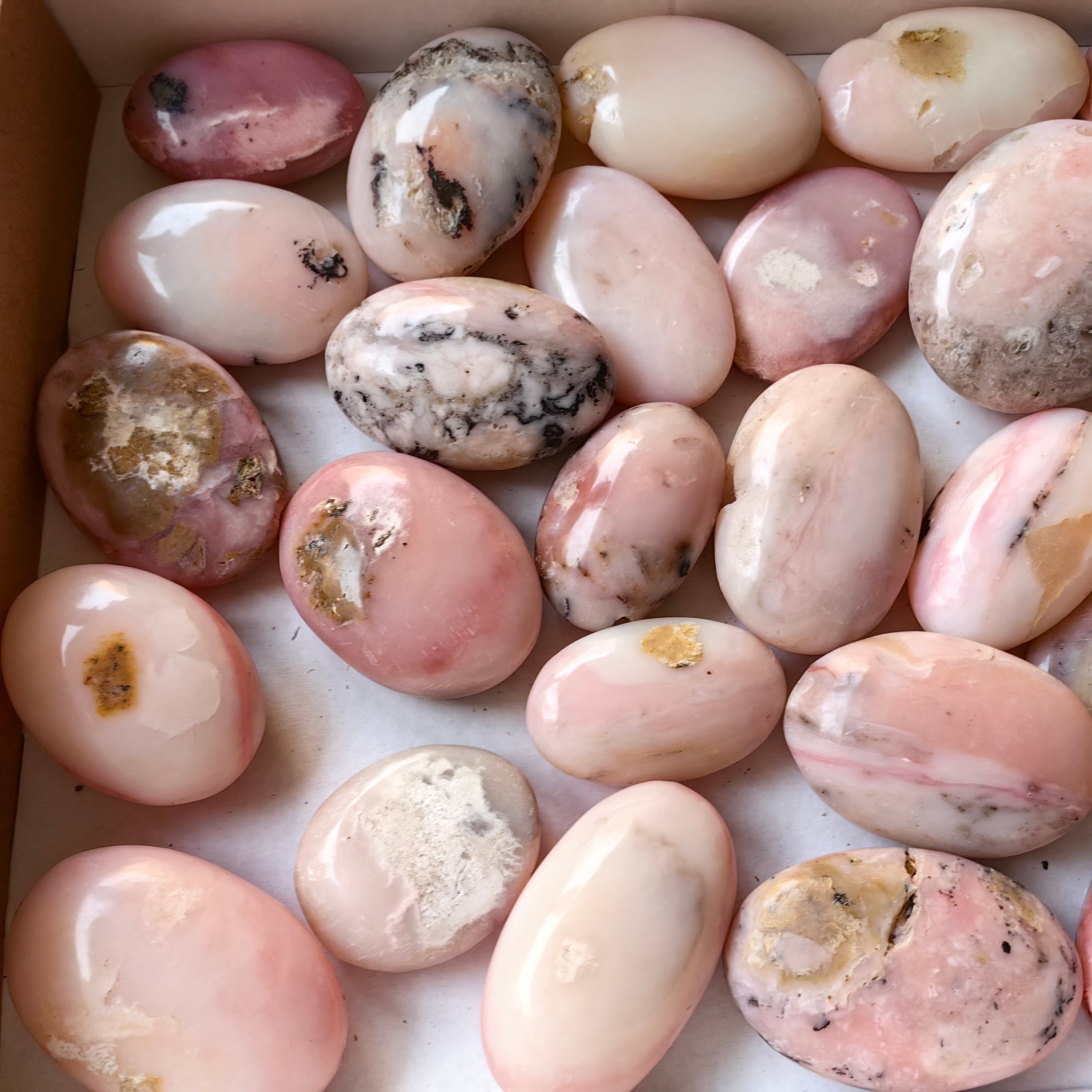 30 pc pink opal palms